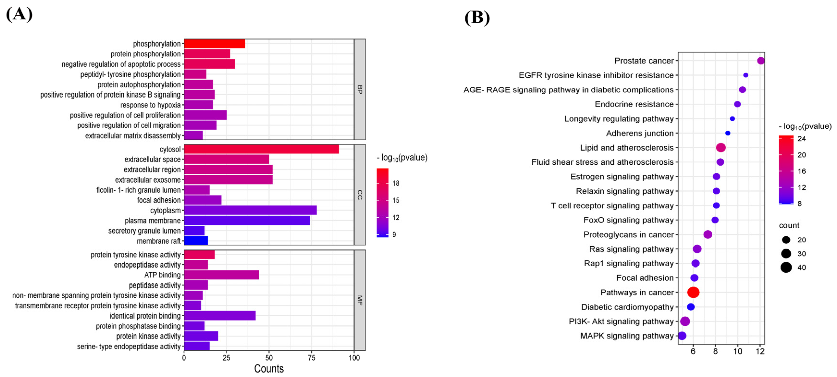 Cimb 47 00786 g005 Cimb 47 00786 g005