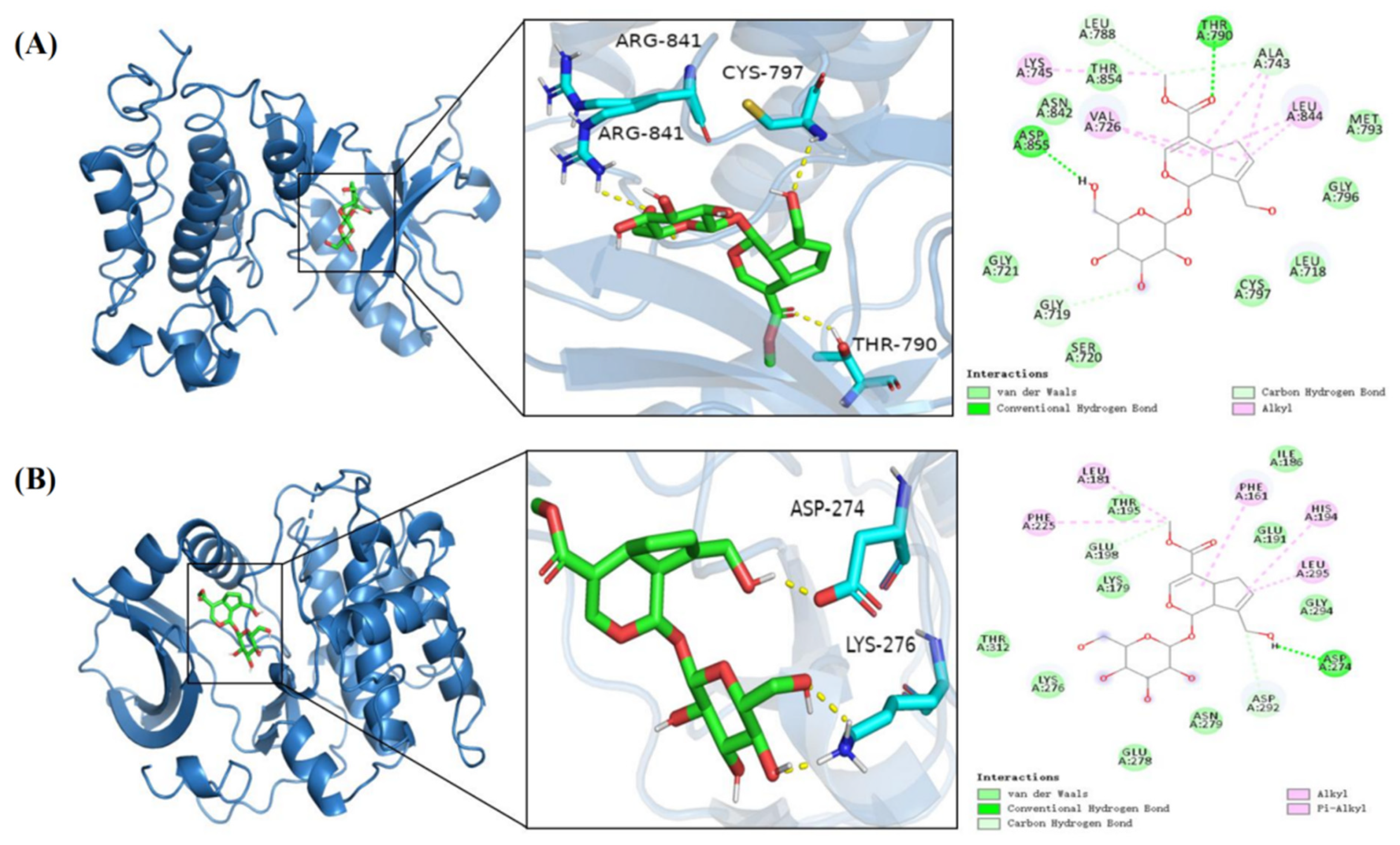 Cimb 47 00786 g006 Cimb 47 00786 g006