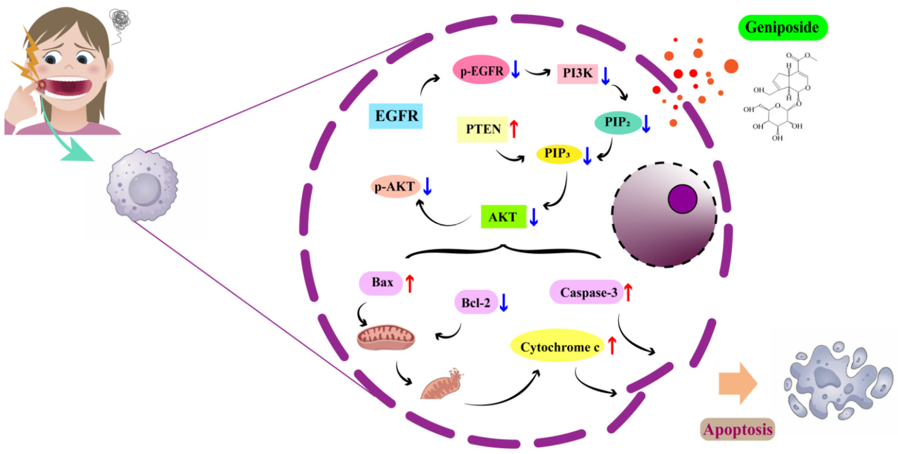 Cimb 47 00786 g009 Cimb 47 00786 g009