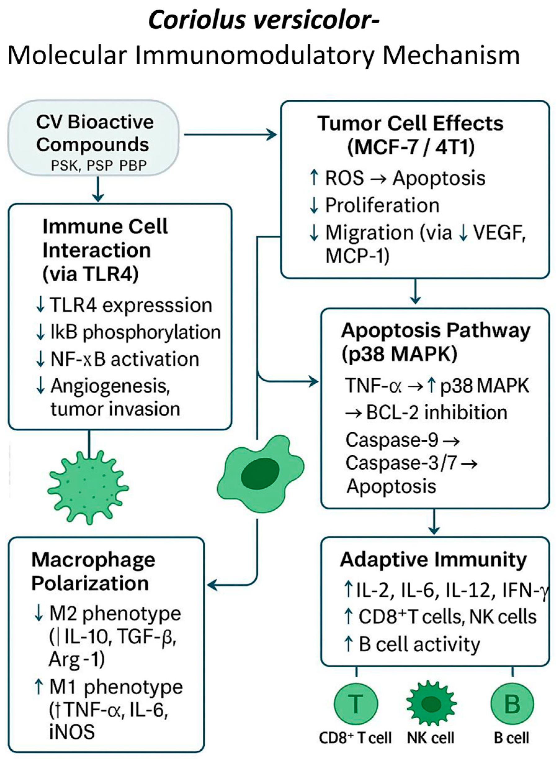 Cimb 47 00808 g006 Cimb 47 00808 g006