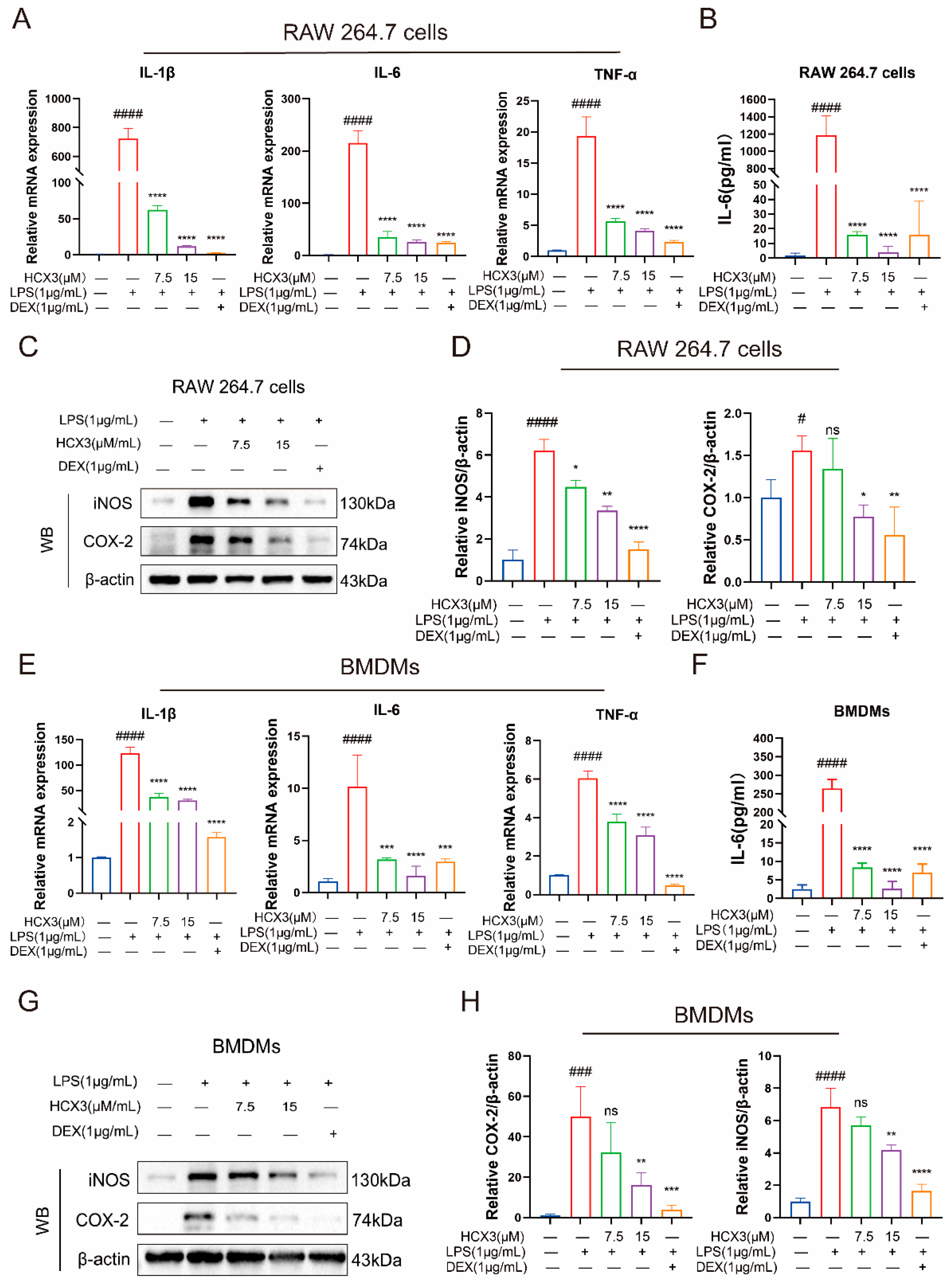 Cimb 47 00809 g003 Cimb 47 00809 g003