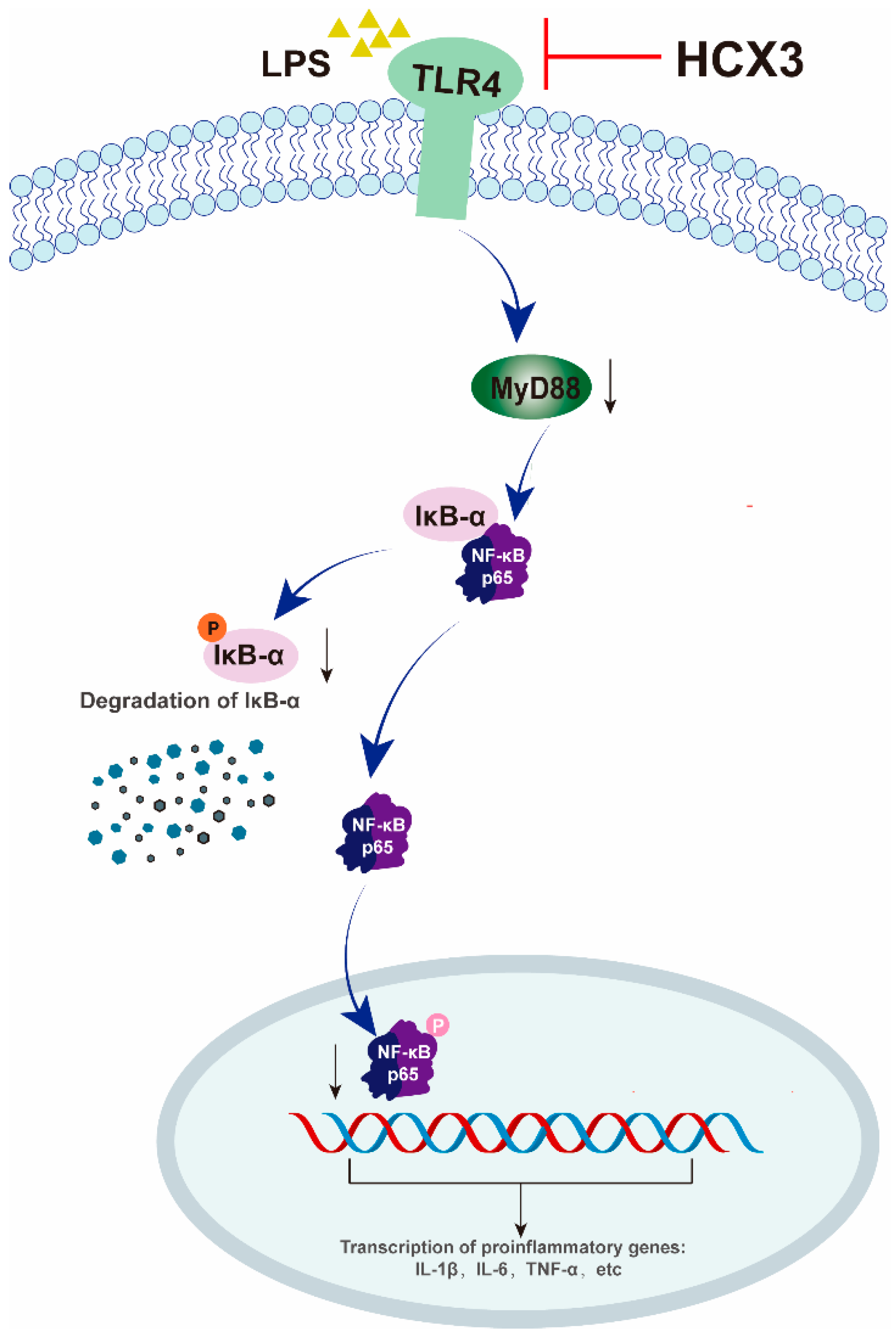 Cimb 47 00809 g006 Cimb 47 00809 g006