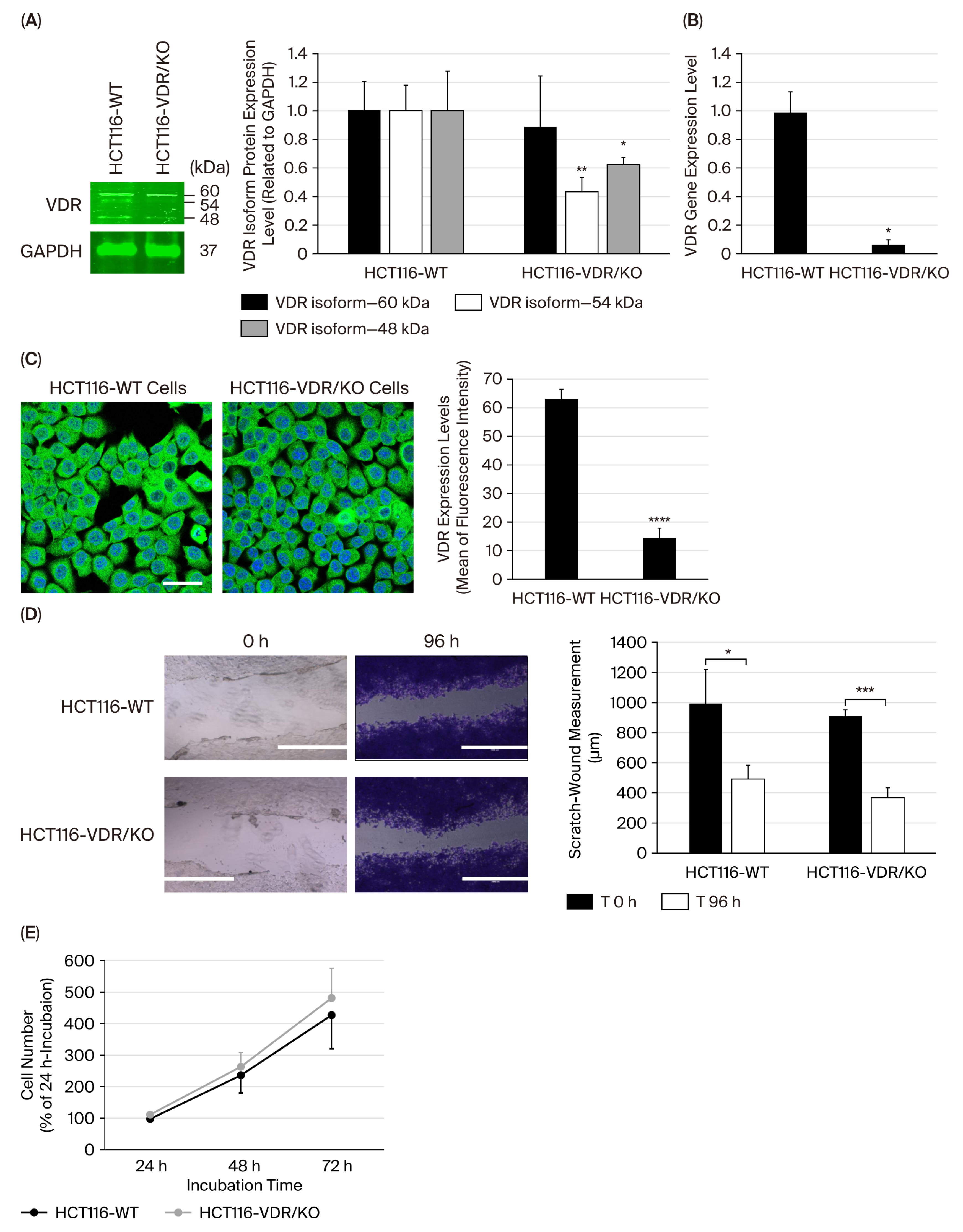 Cimb 47 00810 g001 Cimb 47 00810 g001