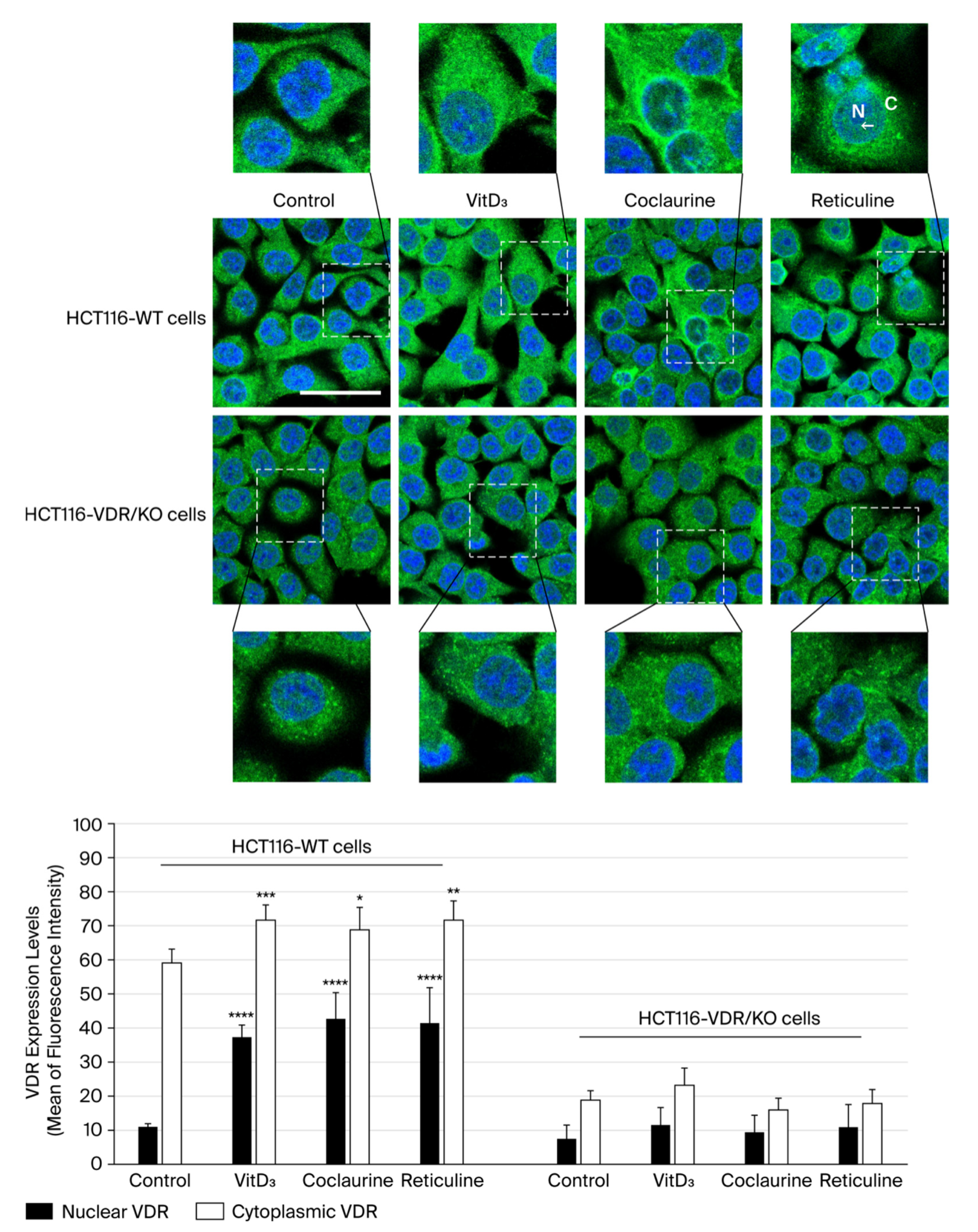 Cimb 47 00810 g003 Cimb 47 00810 g003