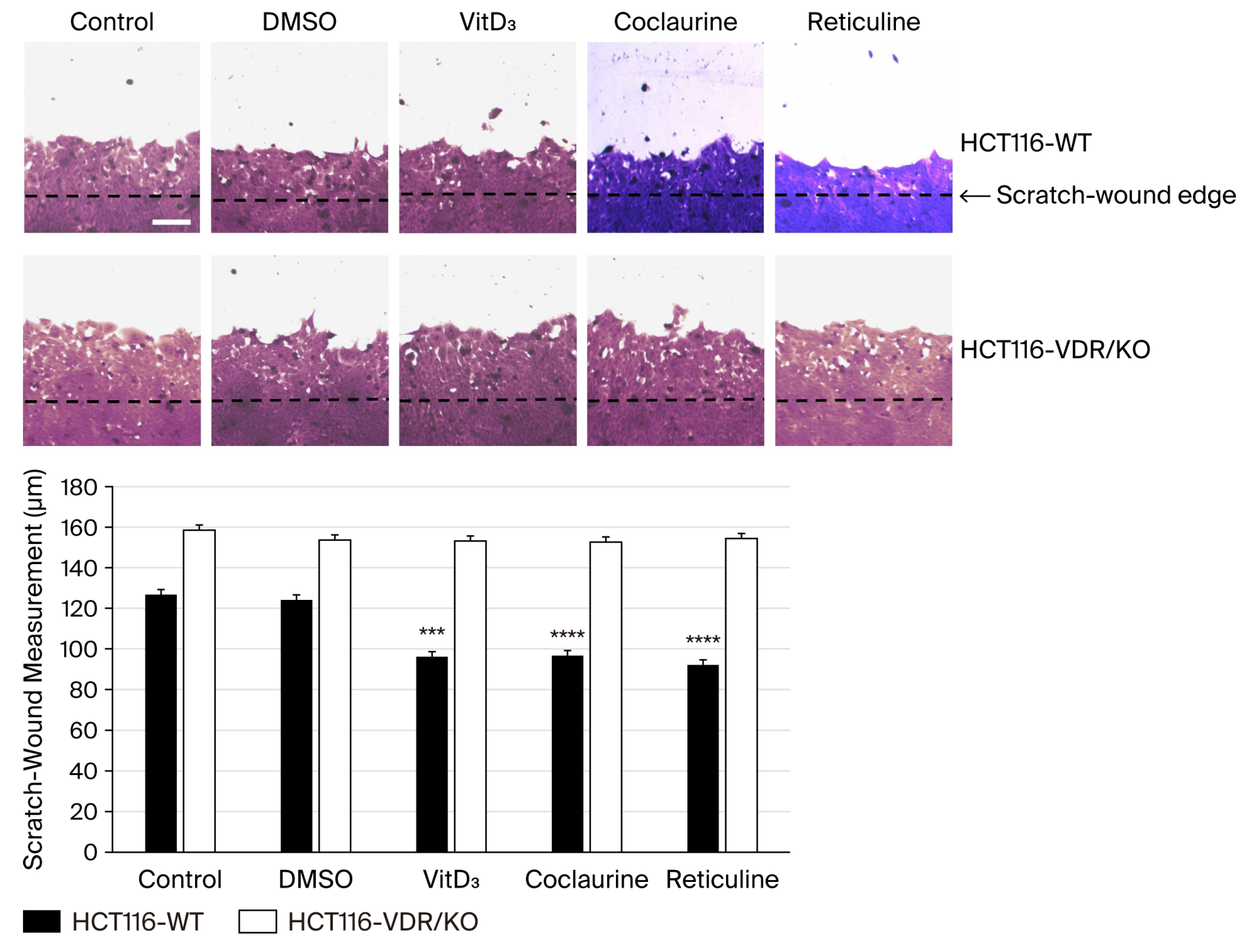 Cimb 47 00810 g005 Cimb 47 00810 g005