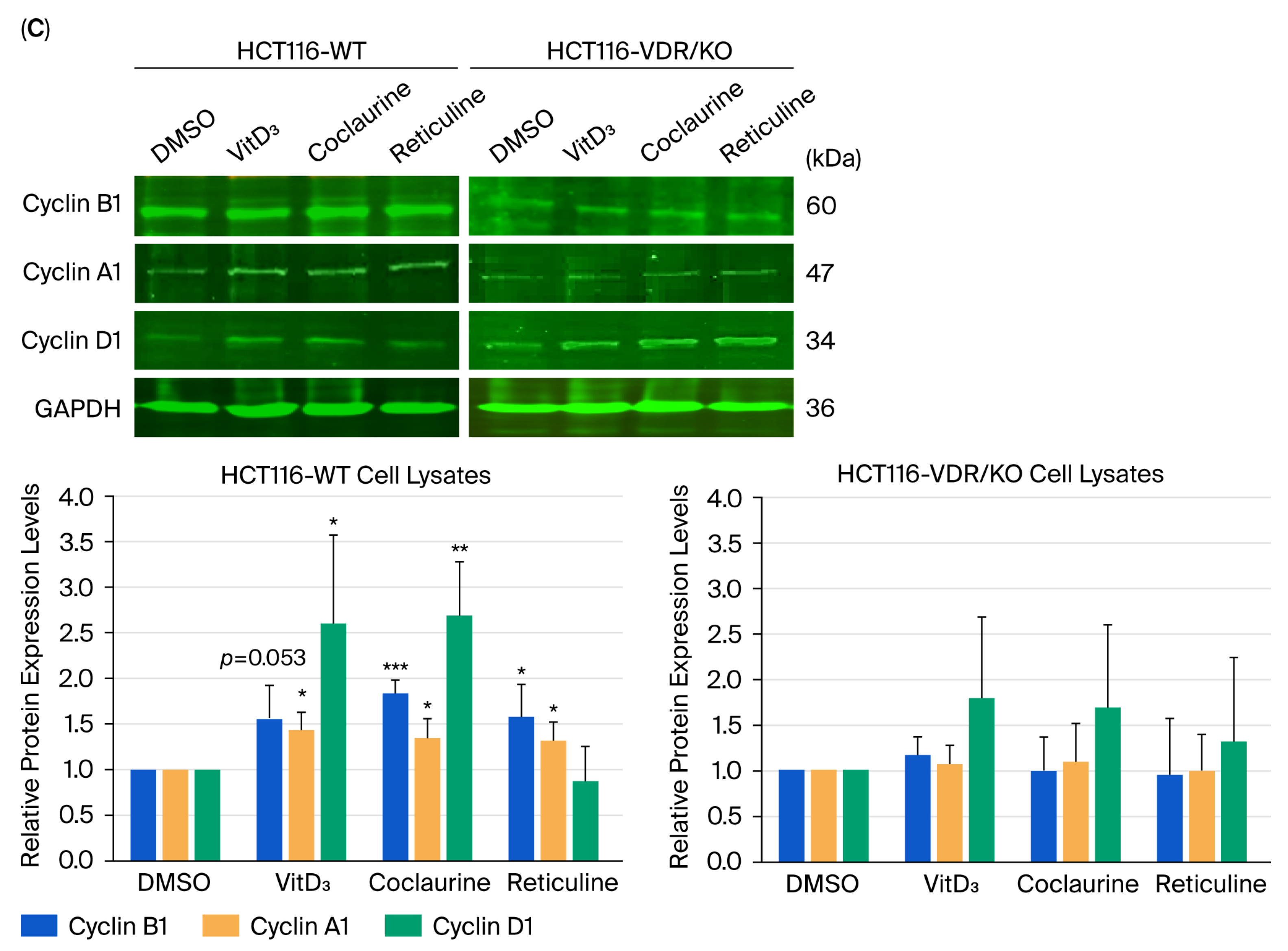 Cimb 47 00810 g007b Cimb 47 00810 g007b