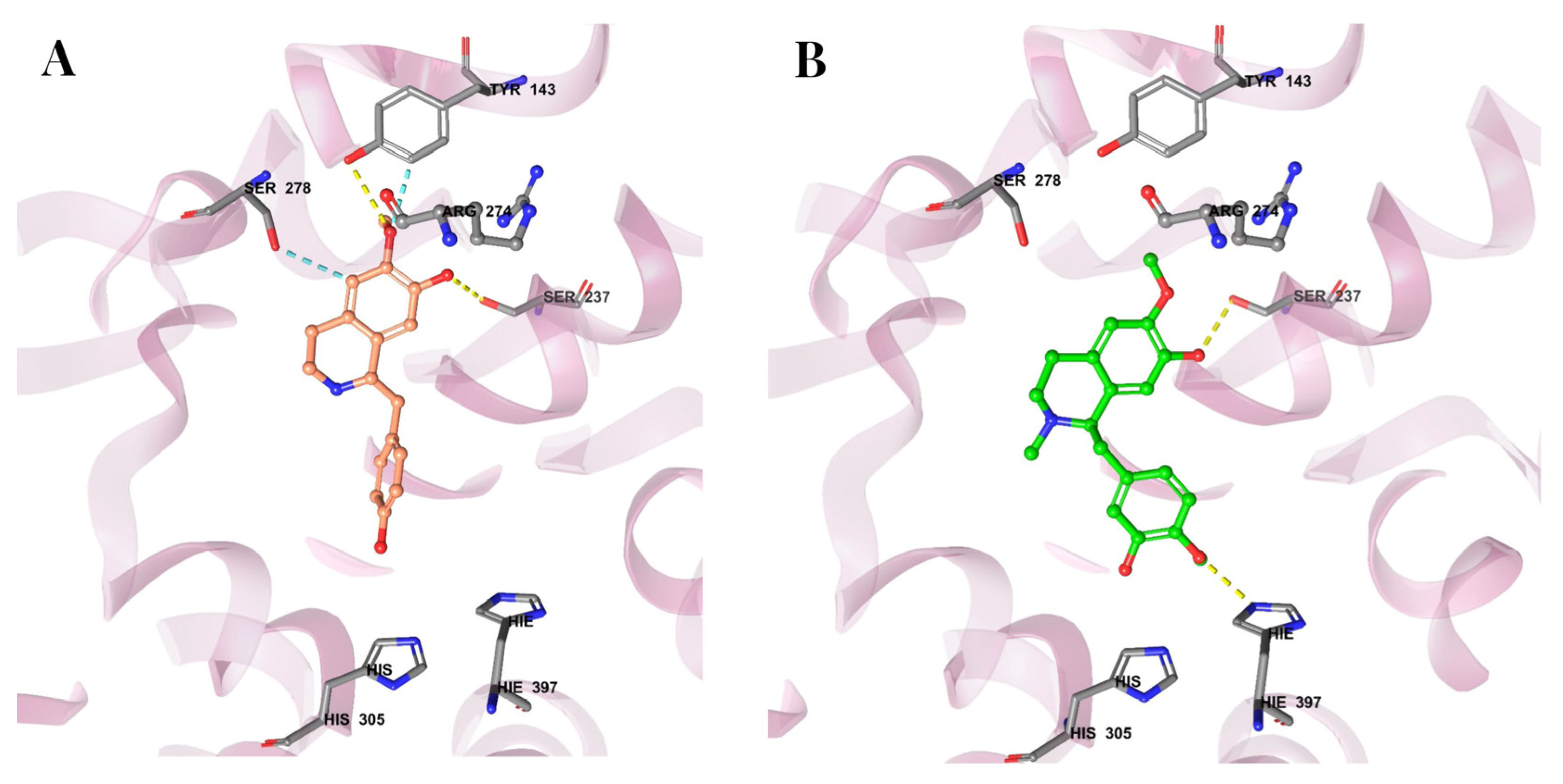 Cimb 47 00810 g008 Cimb 47 00810 g008