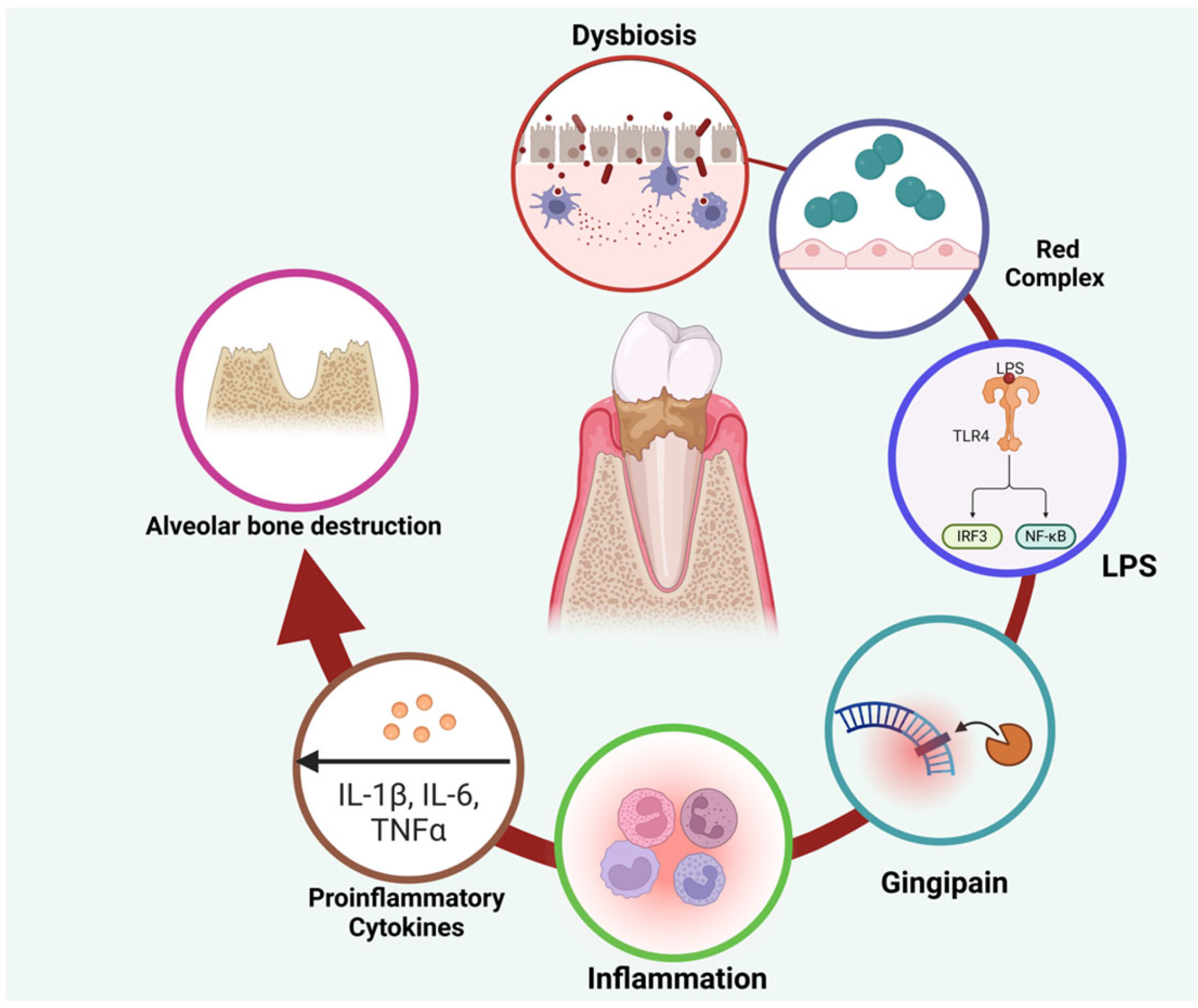 Cimb 47 00811 g001 Cimb 47 00811 g001