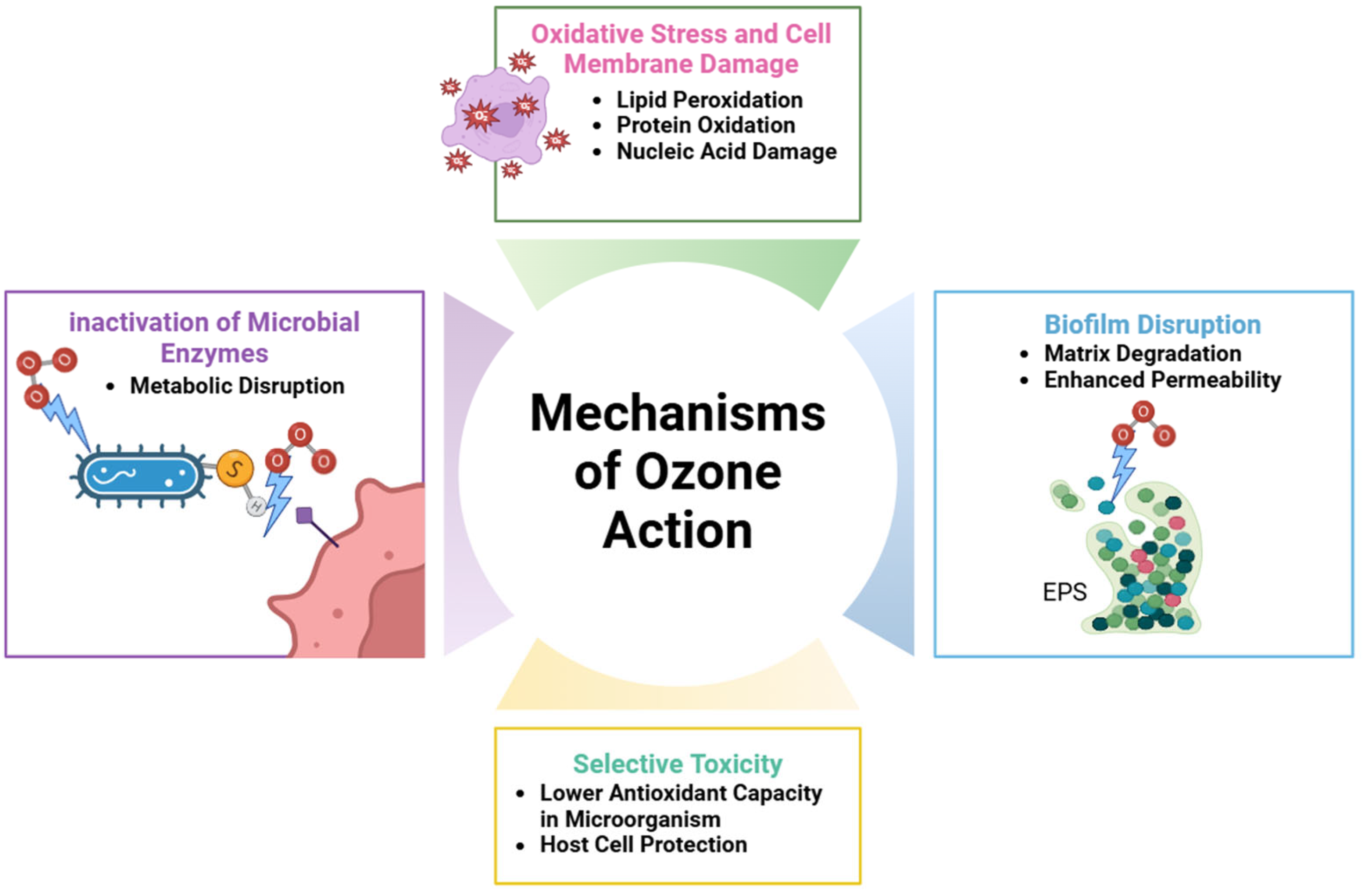 Cimb 47 00811 g003 Cimb 47 00811 g003