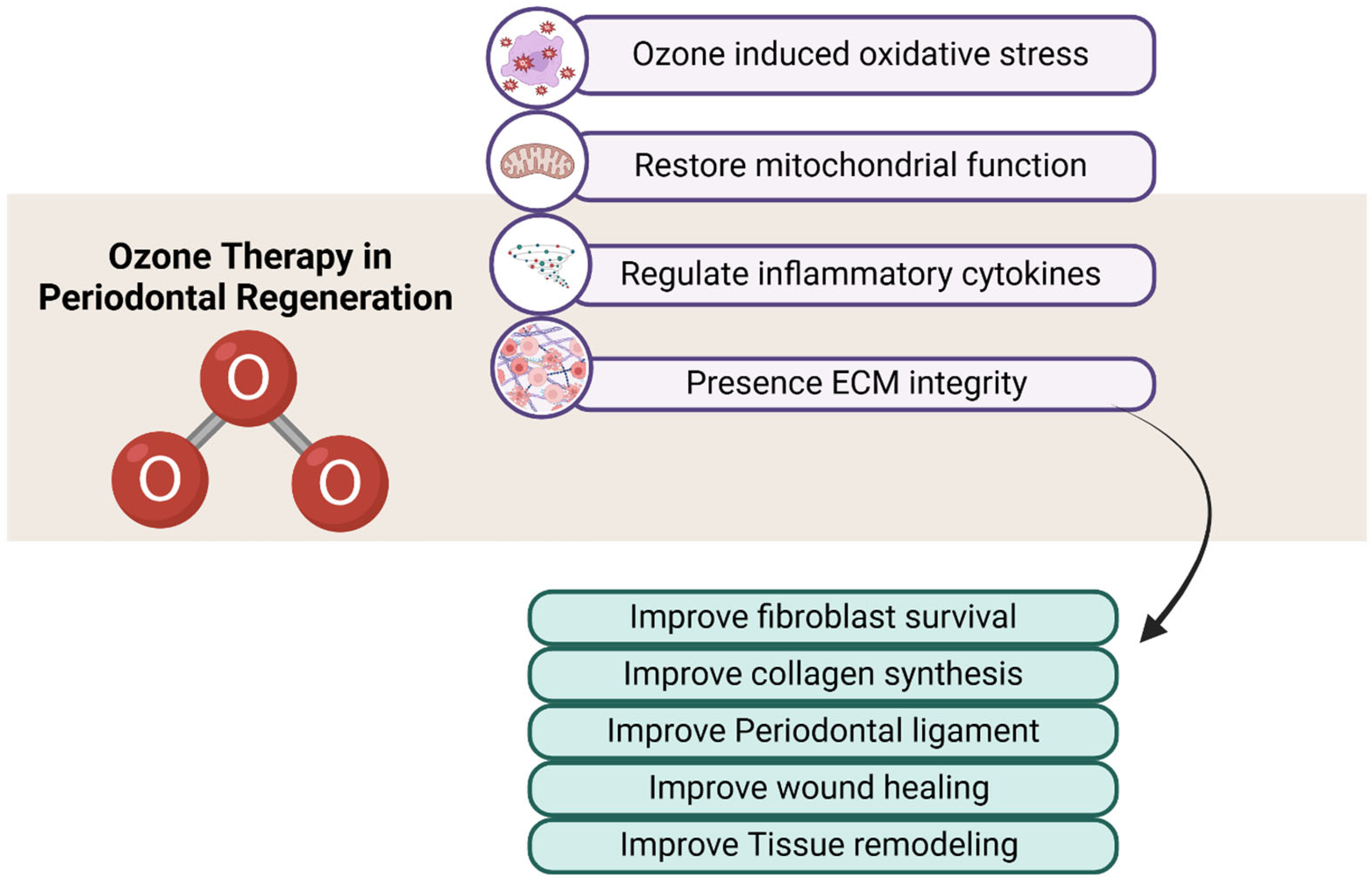 Cimb 47 00811 g005 Cimb 47 00811 g005