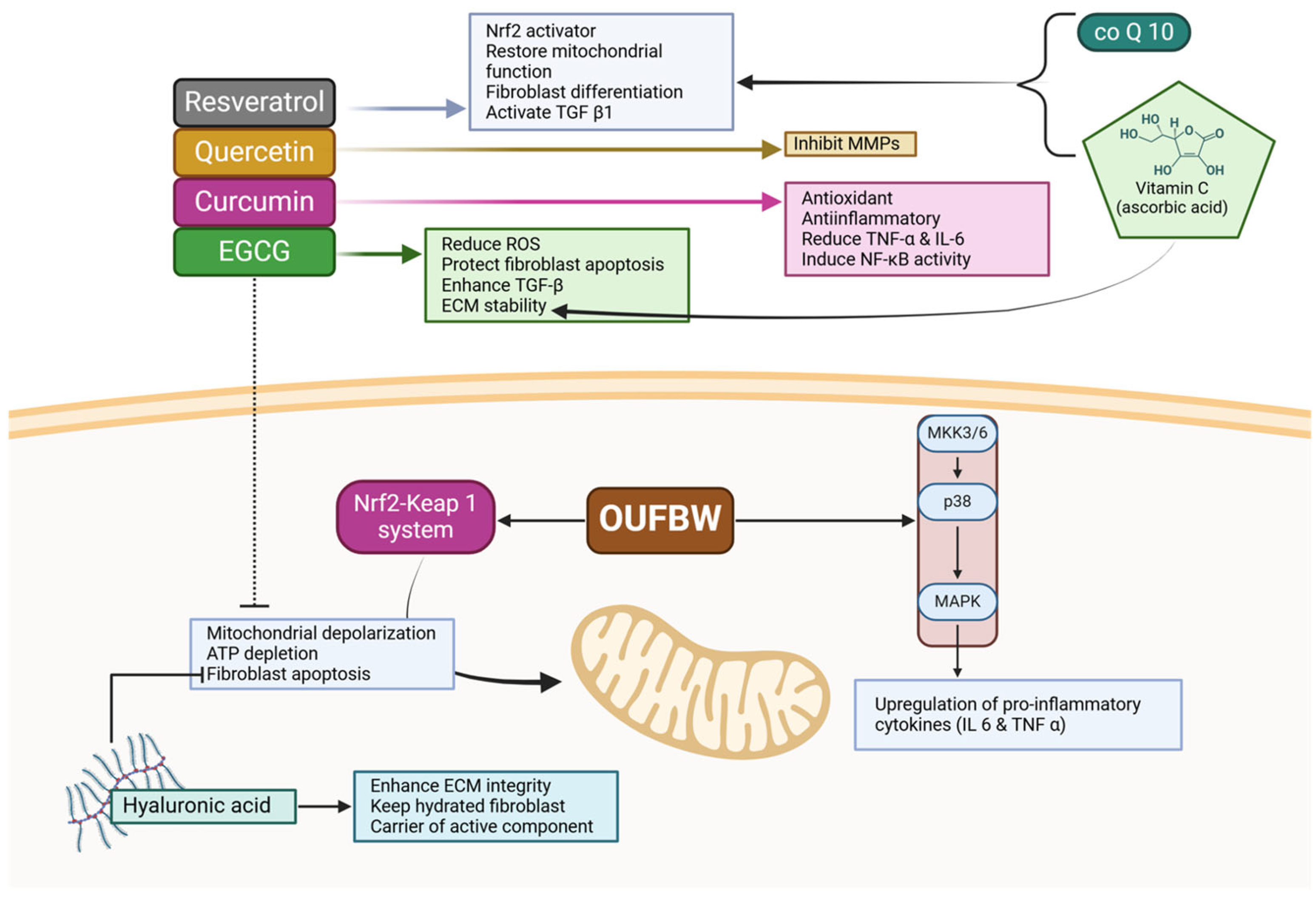 Cimb 47 00811 g008 Cimb 47 00811 g008