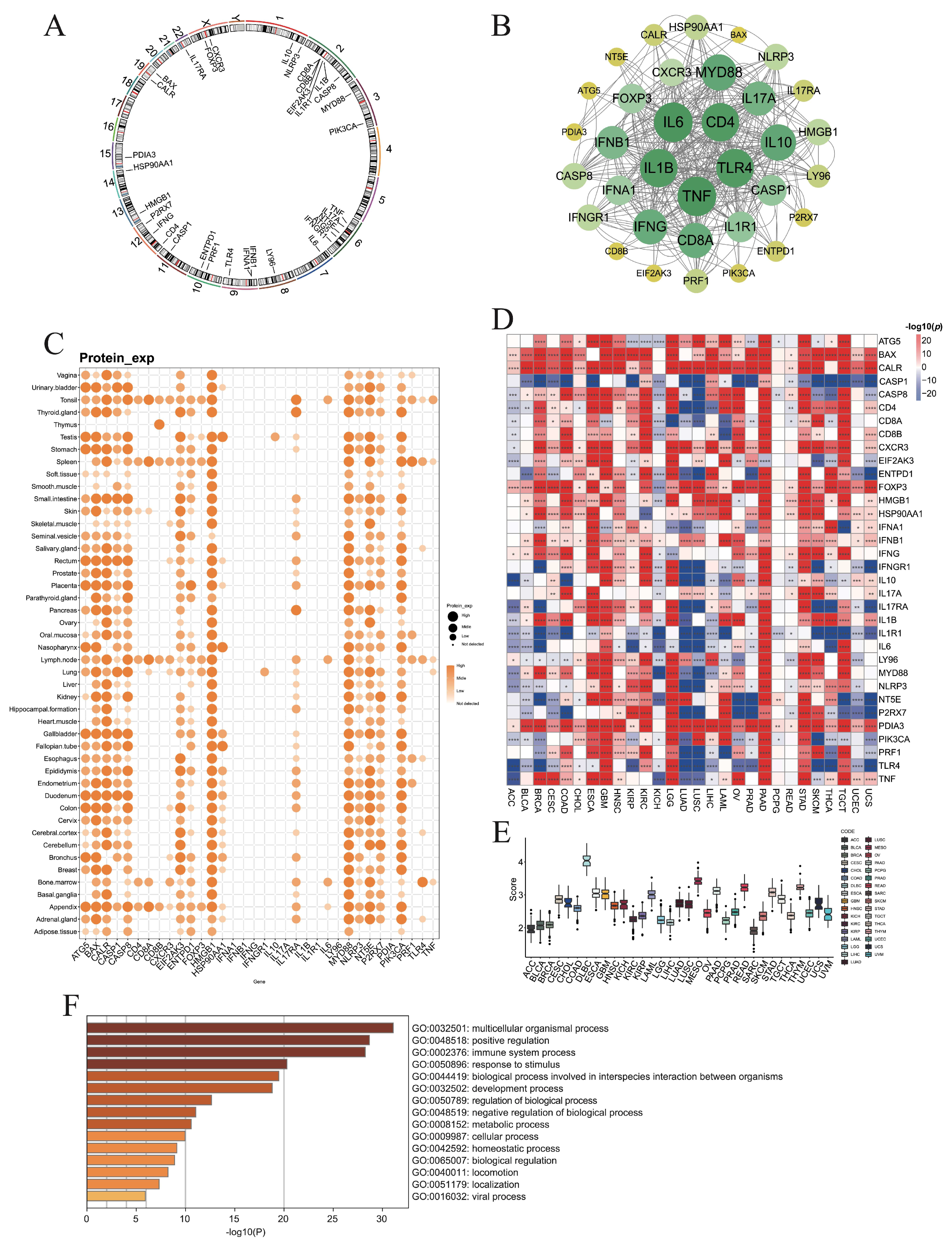 Cimb 47 00812 g001 Cimb 47 00812 g001