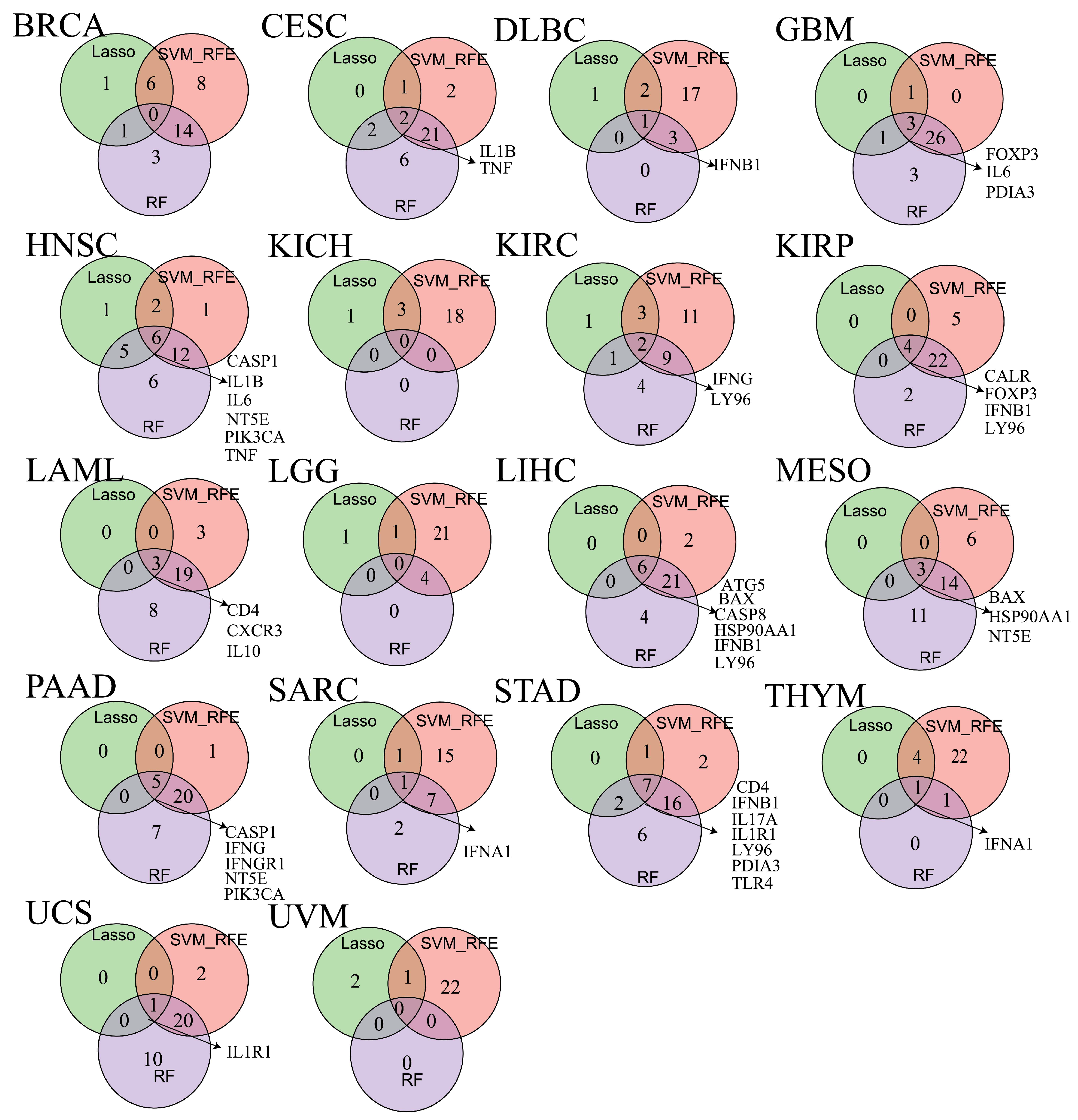 Cimb 47 00812 g007 Cimb 47 00812 g007