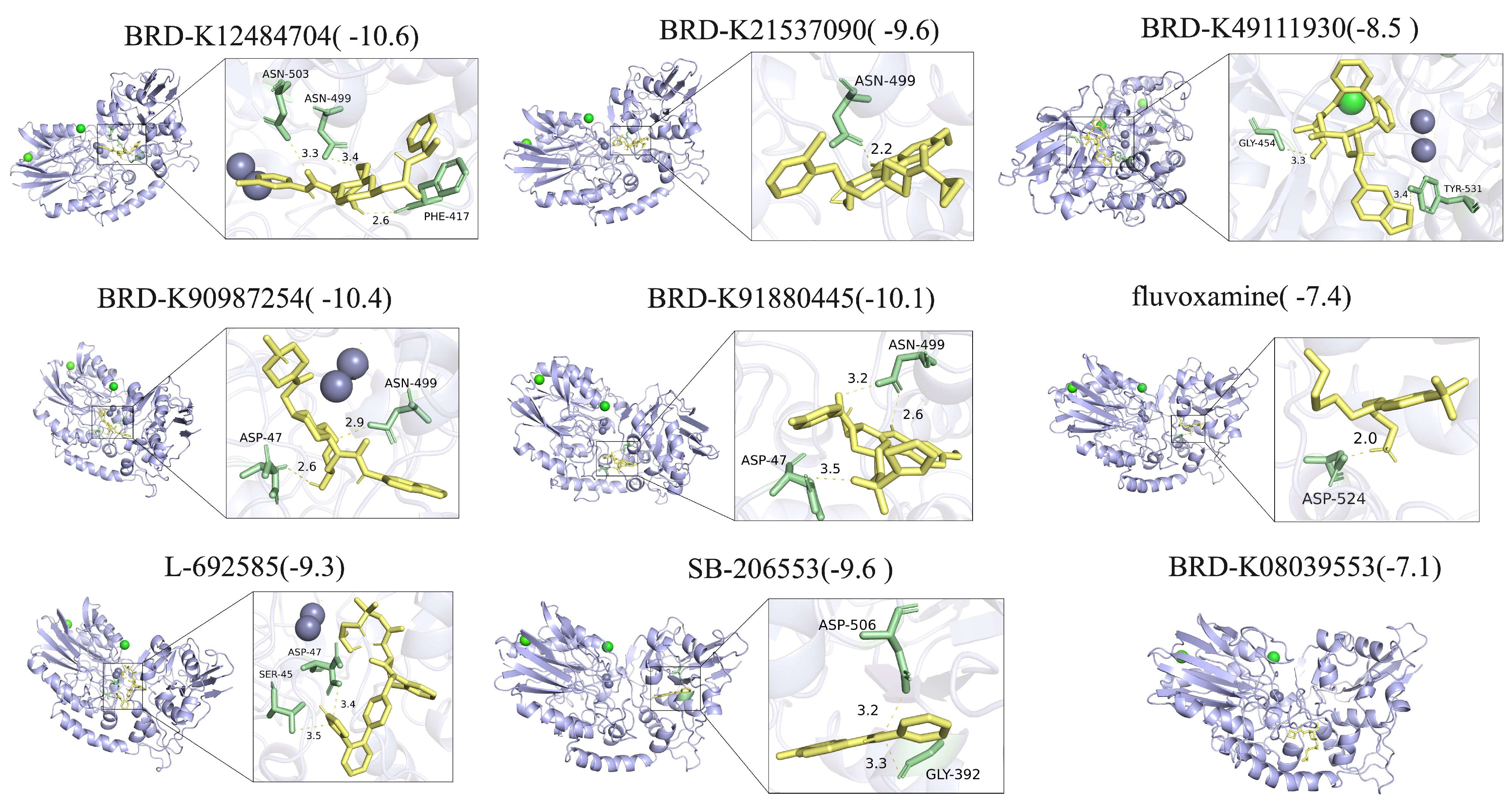 Cimb 47 00812 g010 Cimb 47 00812 g010