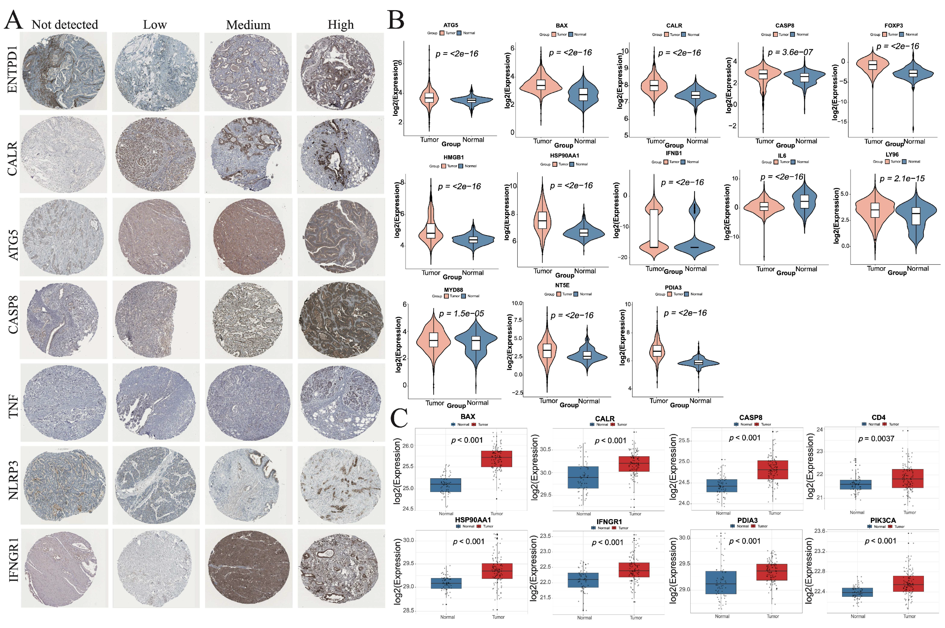 Cimb 47 00812 g011 Cimb 47 00812 g011