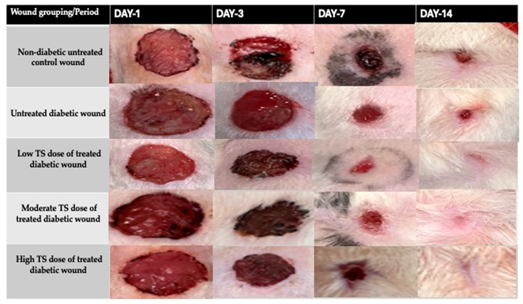 Cimb 47 00820 g001 Cimb 47 00820 g001