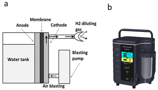 Japanese Hydrogen Portable Water Machine Reverse Osmosis Water