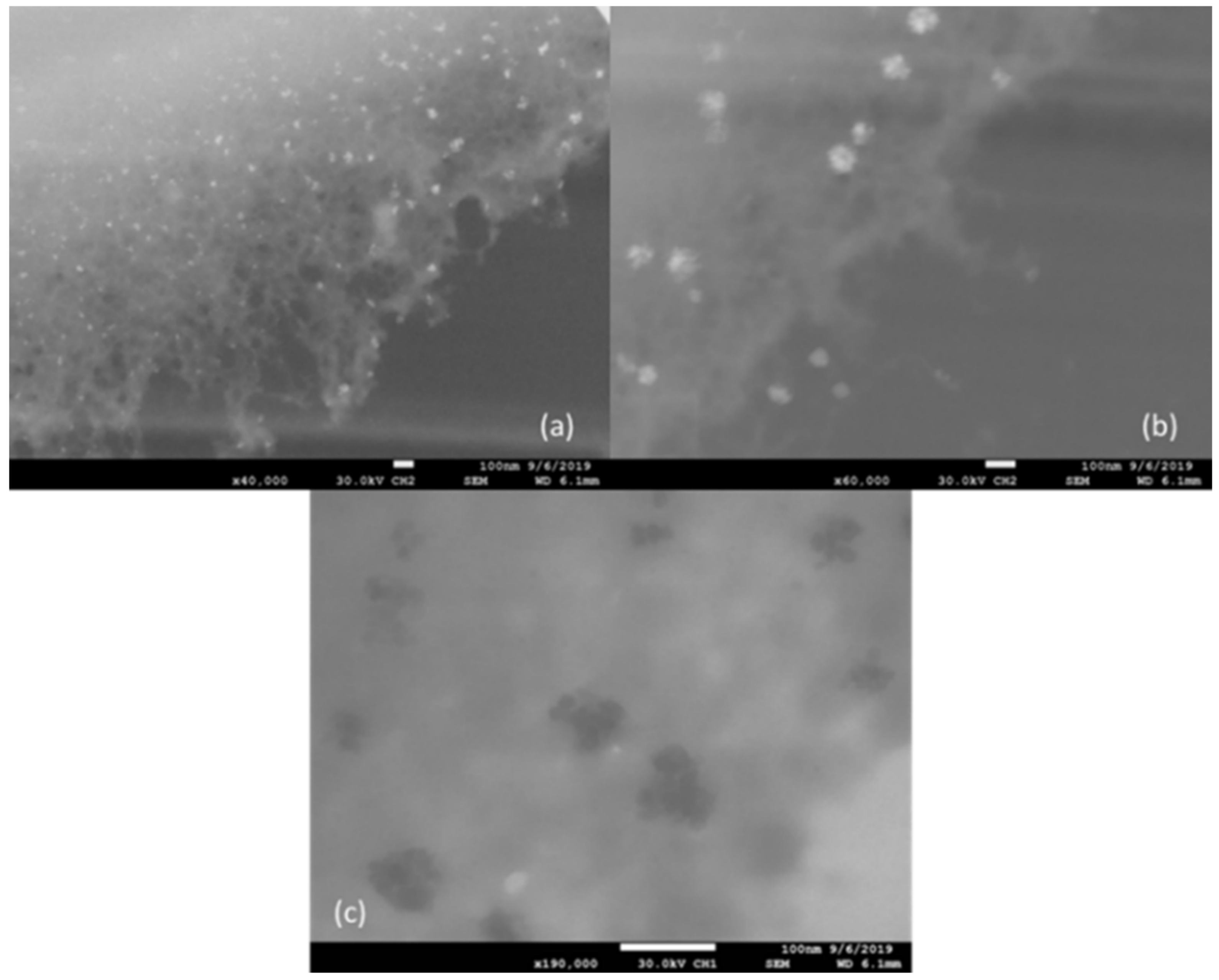 Cleantechnol 03 00016 g003 Cleantechnol 03 00016 g003