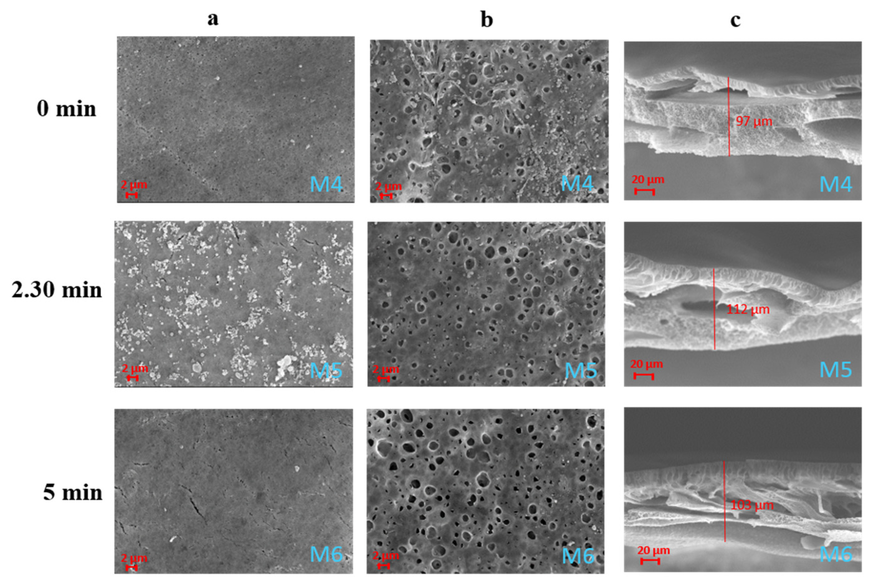 Cleantechnol 03 00045 g003