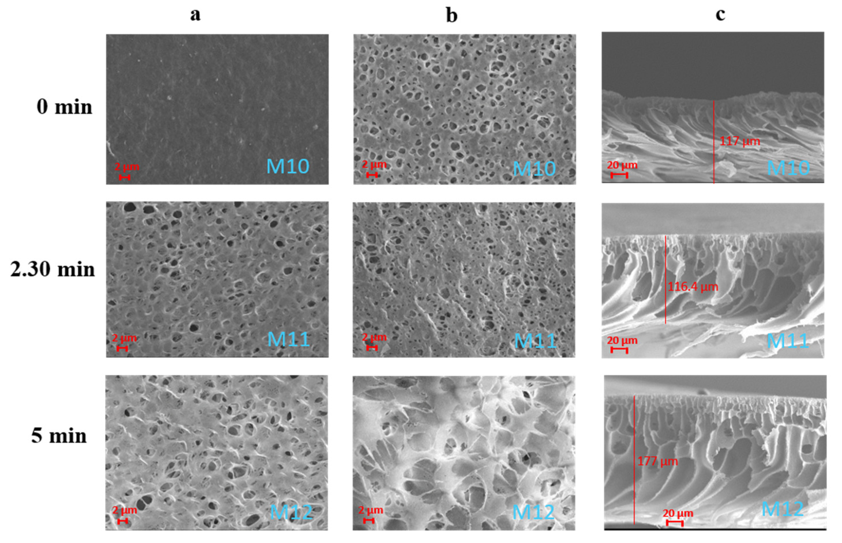 Cleantechnol 03 00045 g009
