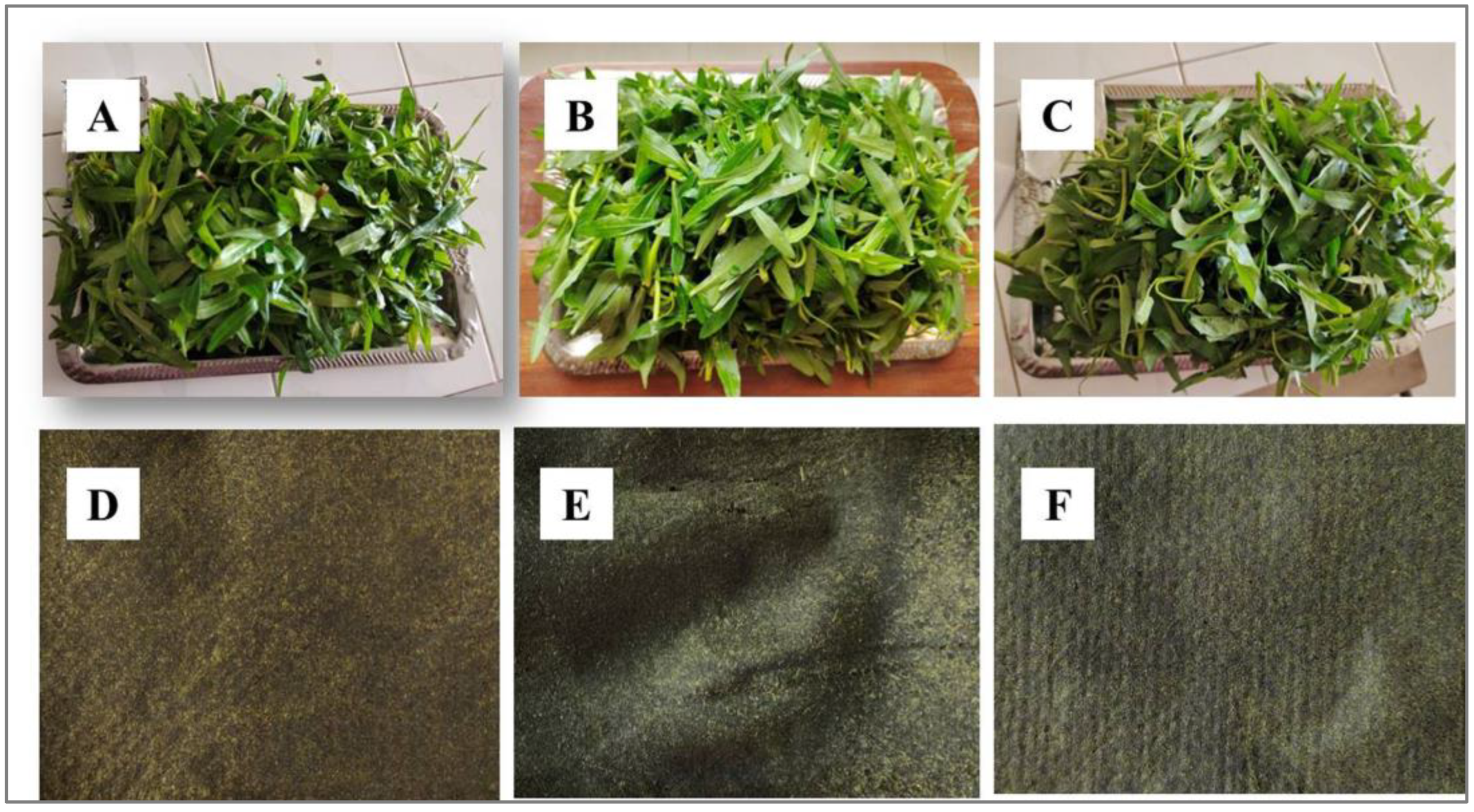 Cleantechnol 05 00064 g001 Cleantechnol 05 00064 g001