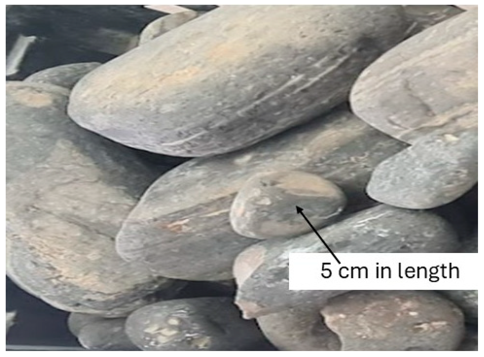 Cleantechnol 07 00029 g007