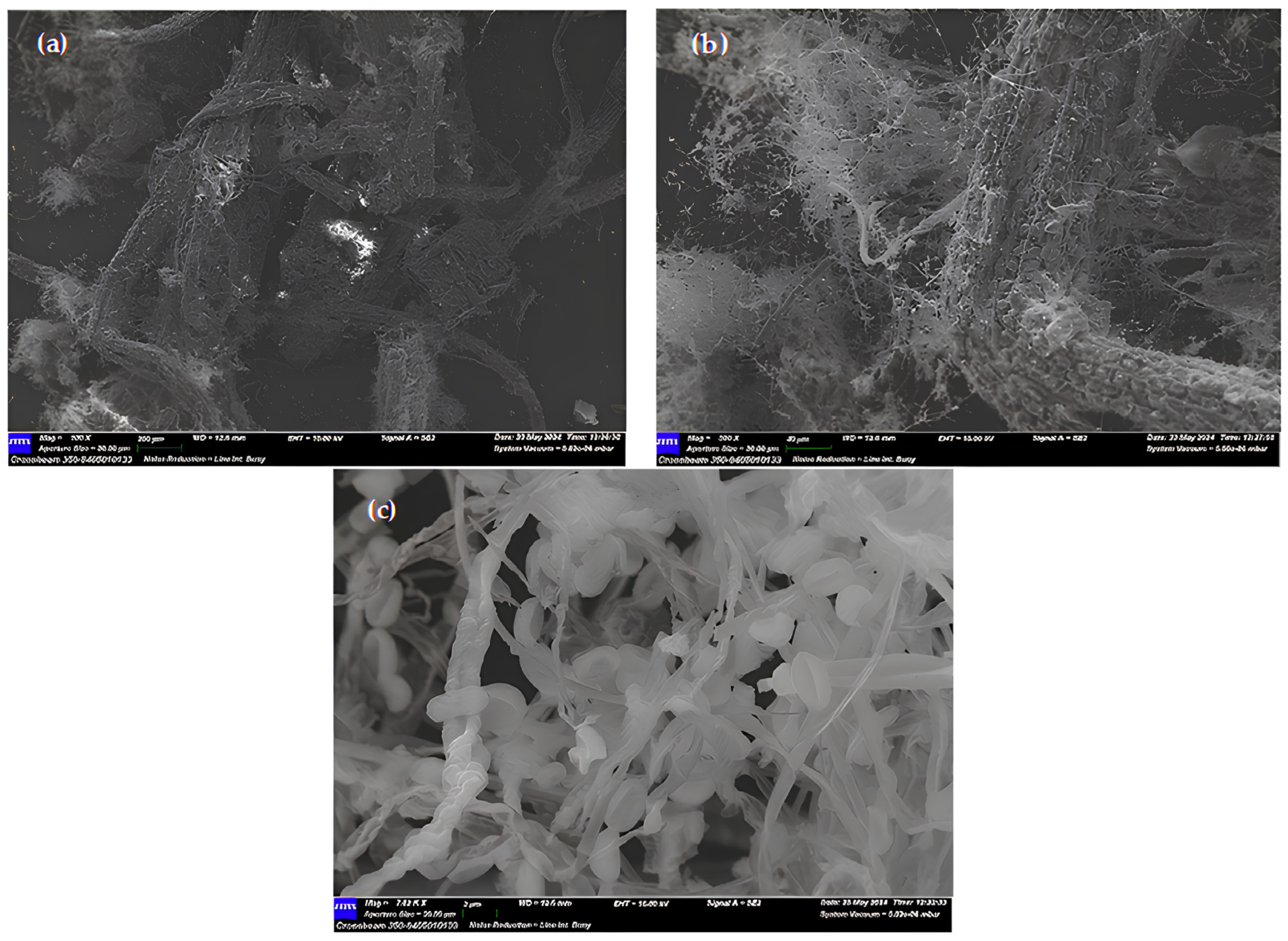 Cleantechnol 07 00055 g004