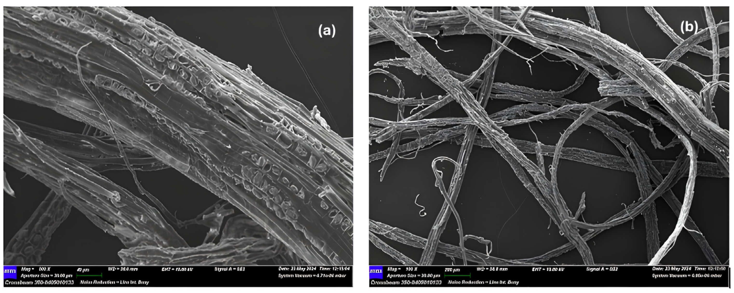 Cleantechnol 07 00055 g012