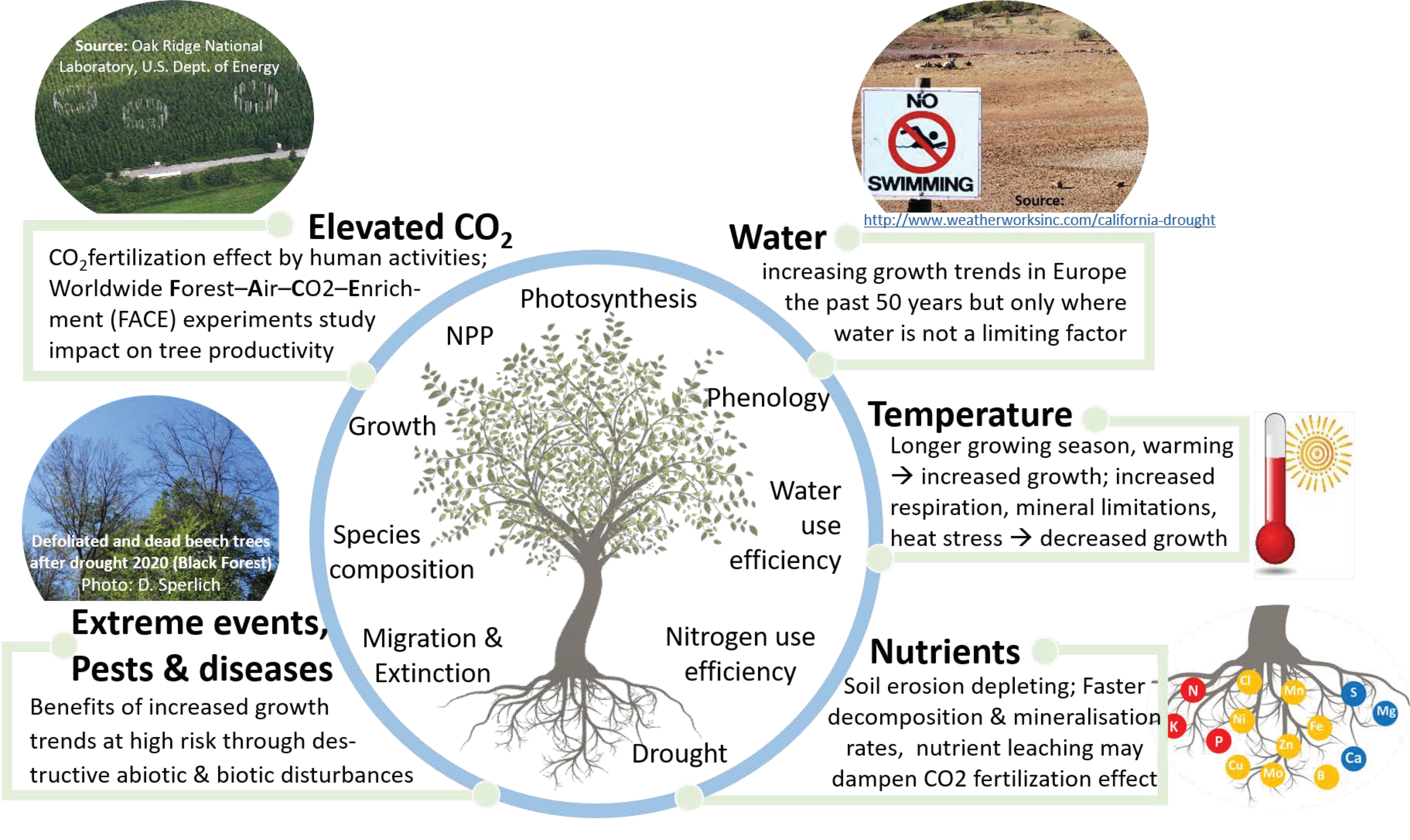 Climate | Free Full-Text | Gains or Losses in Forest Productivity under  Climate Change? The Uncertainty of CO2 Fertilization and Climate Effects