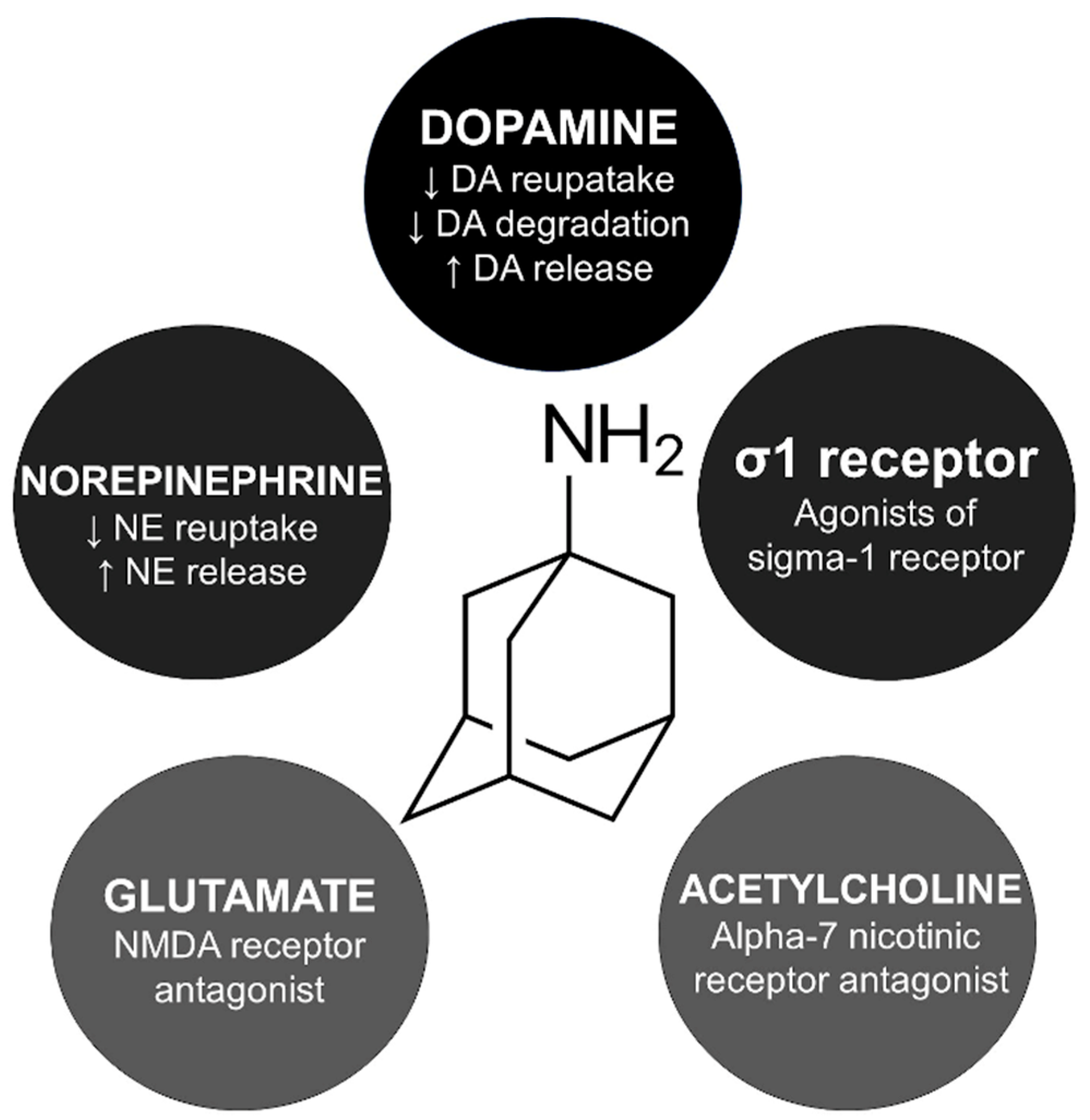Clinpract 13 00075 g001 Clinpract 13 00075 g001