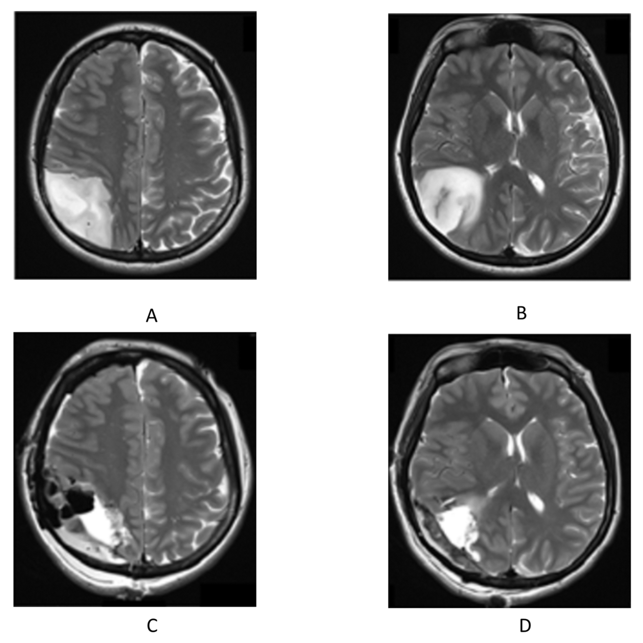Clinpract 13 00084 g001