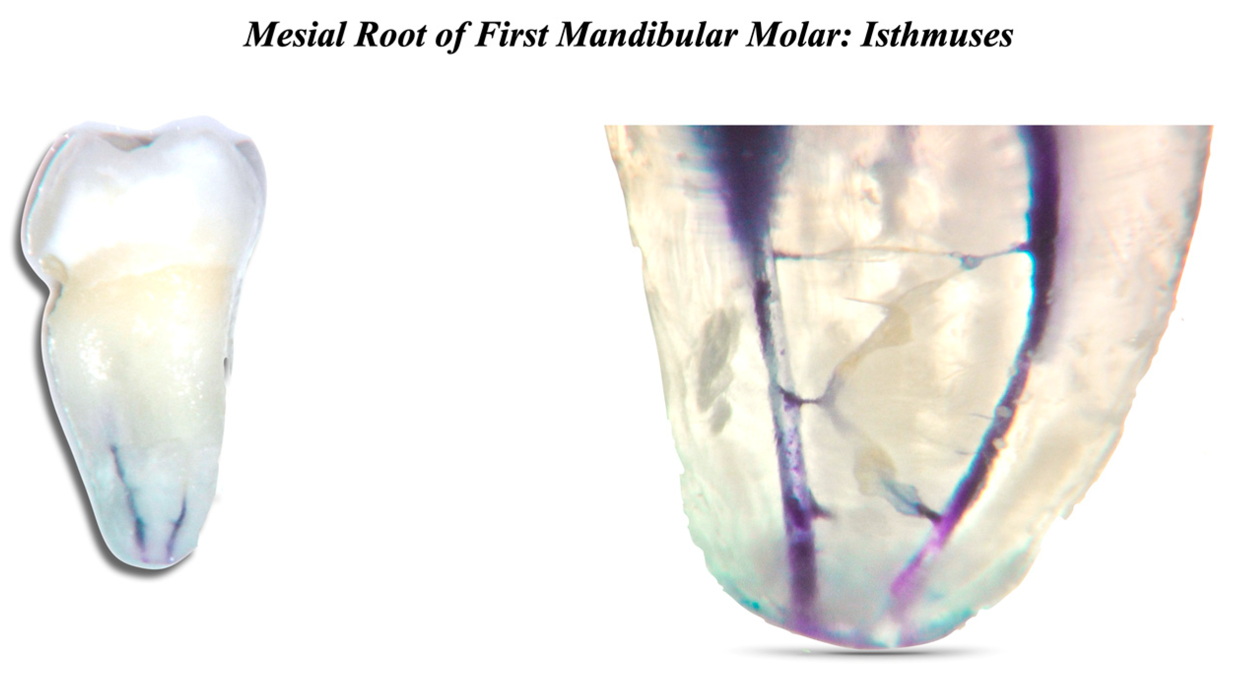 Clinpract 13 00094 g002