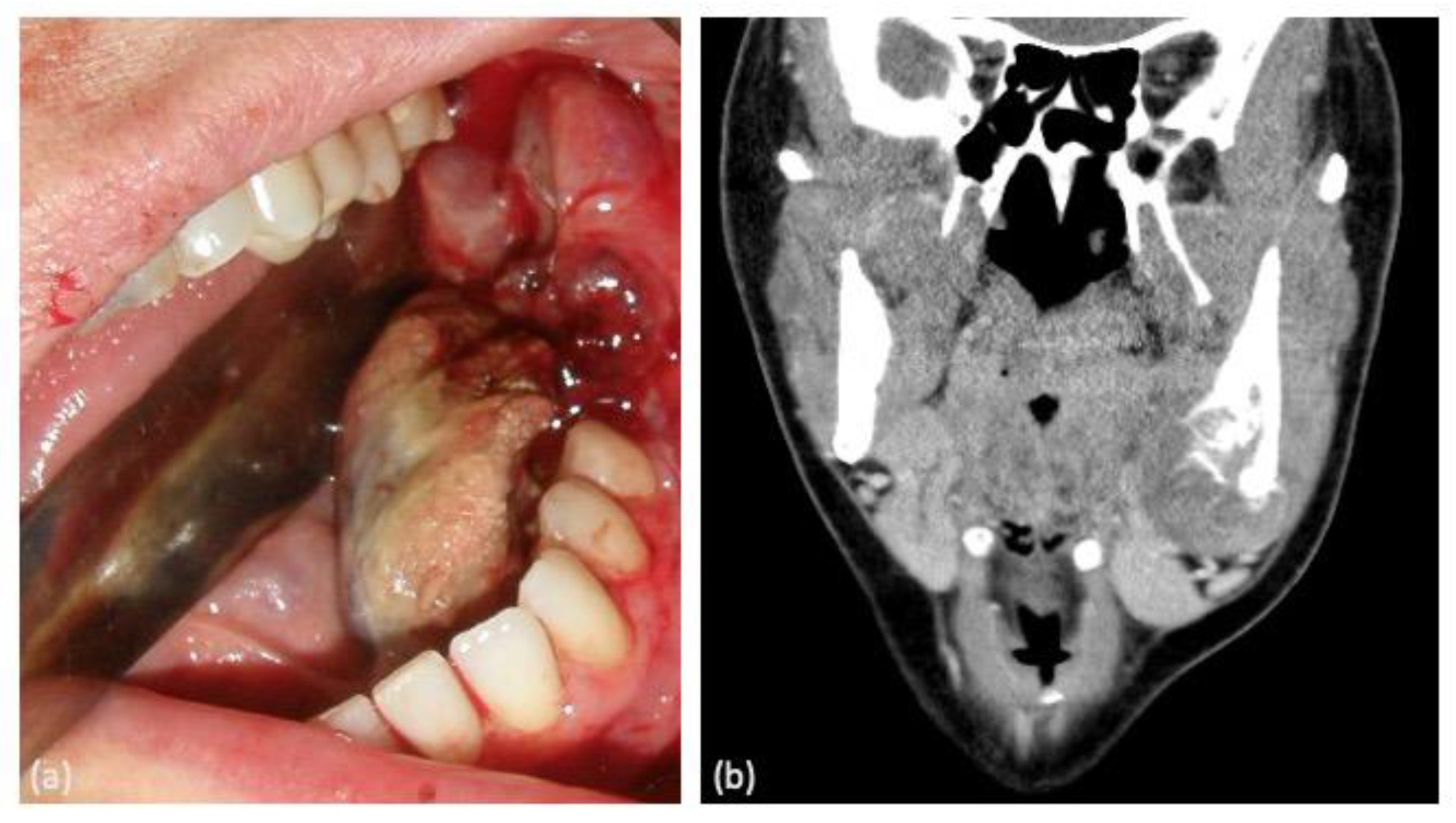 Clinpract 14 00077 g001