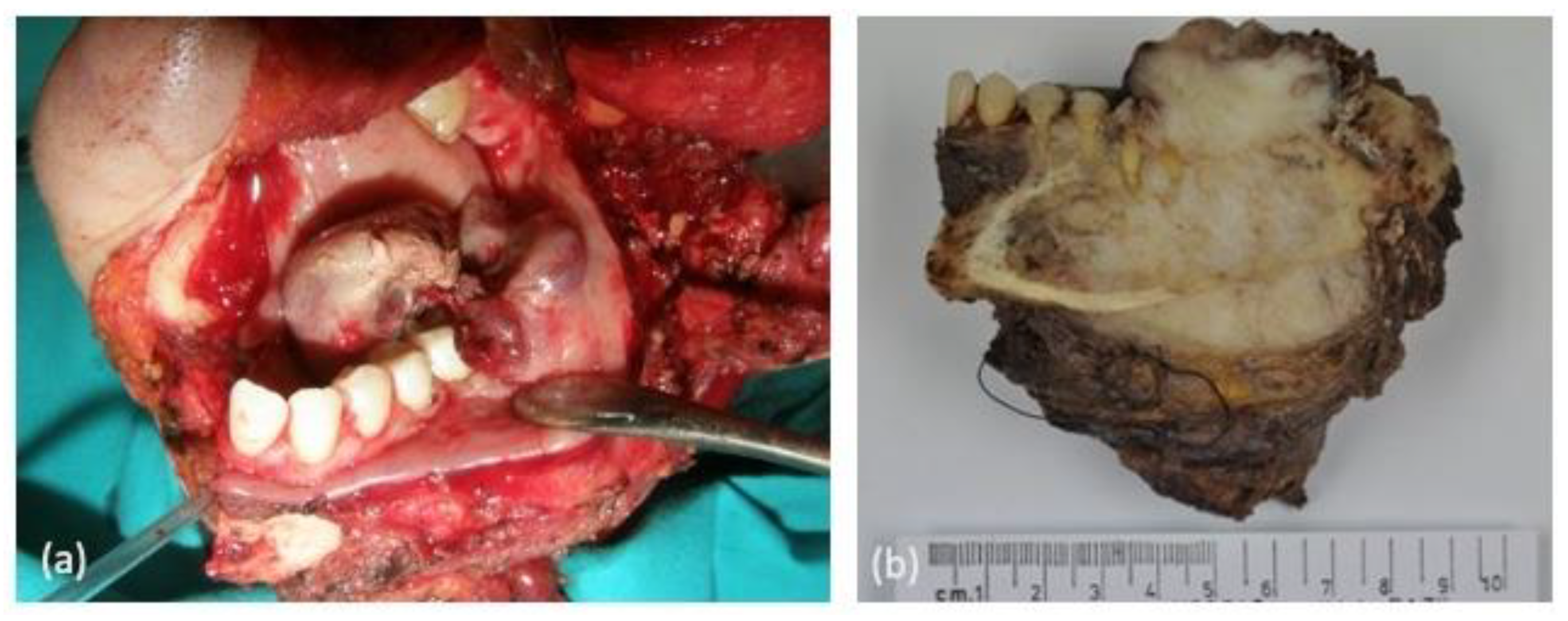 Clinpract 14 00077 g003