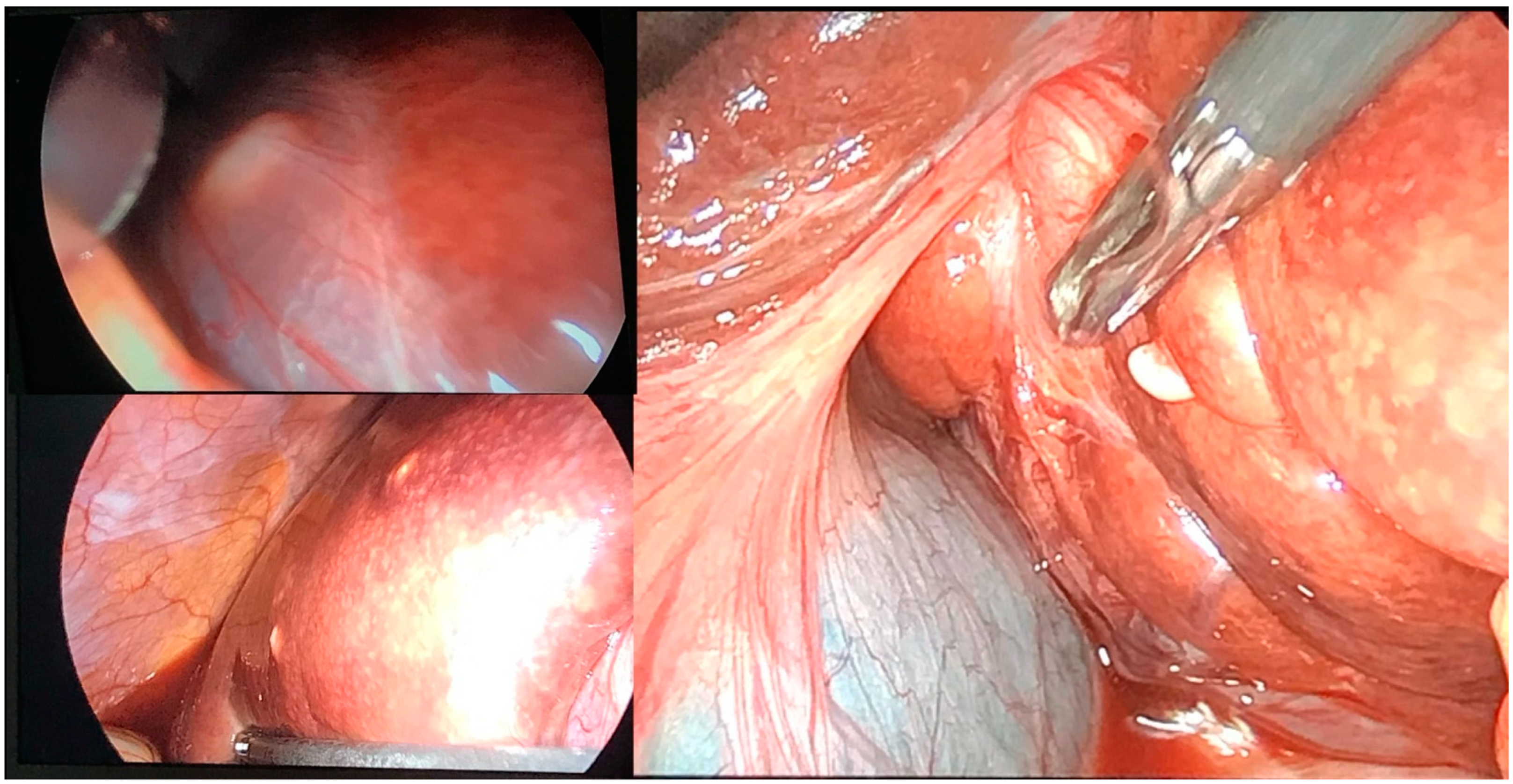 Clinpract 14 00133 g008 Clinpract 14 00133 g008