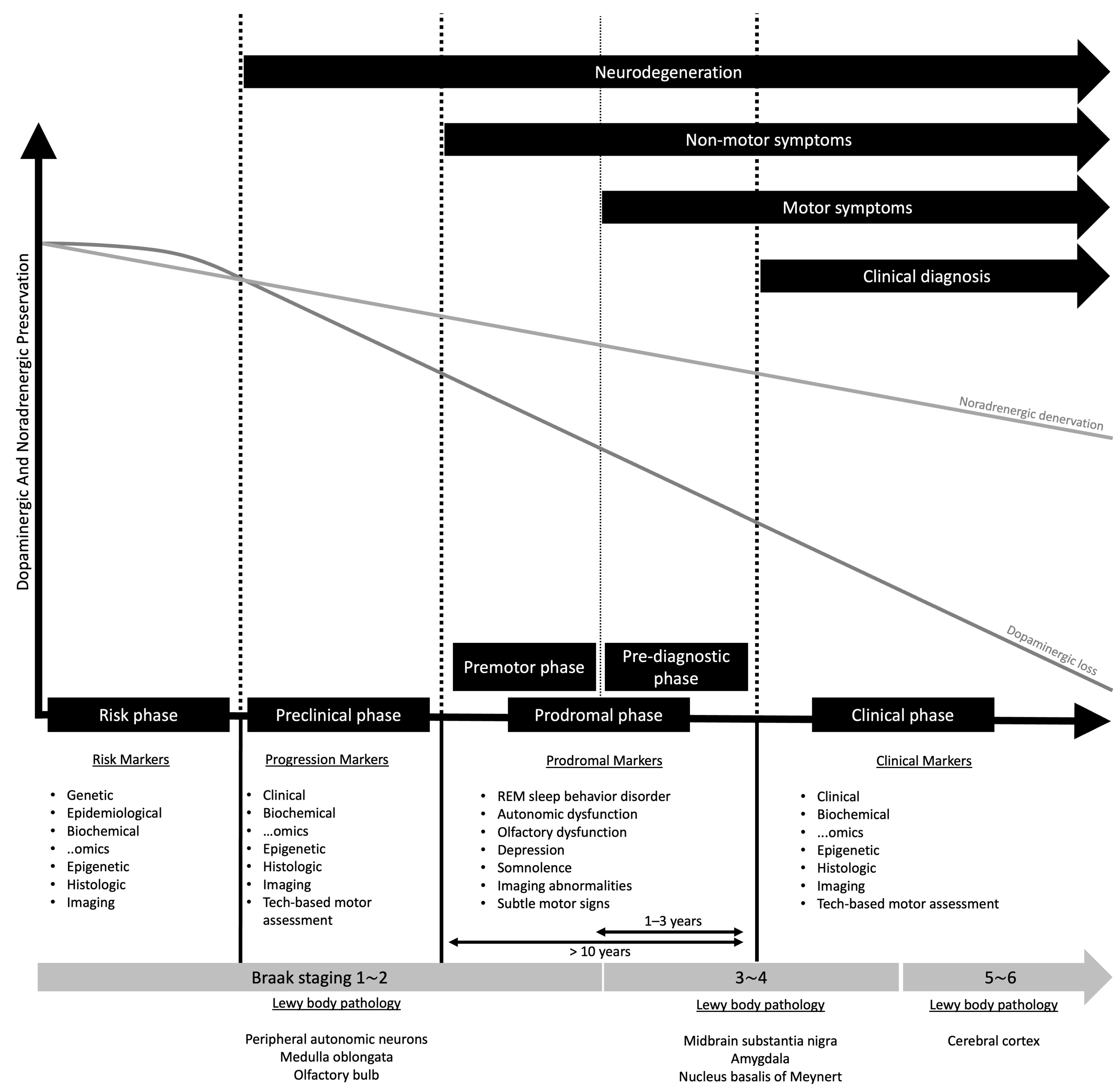 Clinpract 15 00065 g001