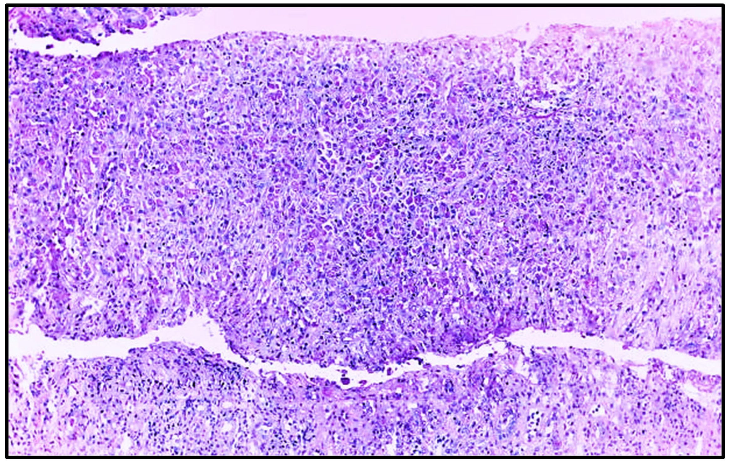Clinpract 15 00143 g003 Clinpract 15 00143 g003