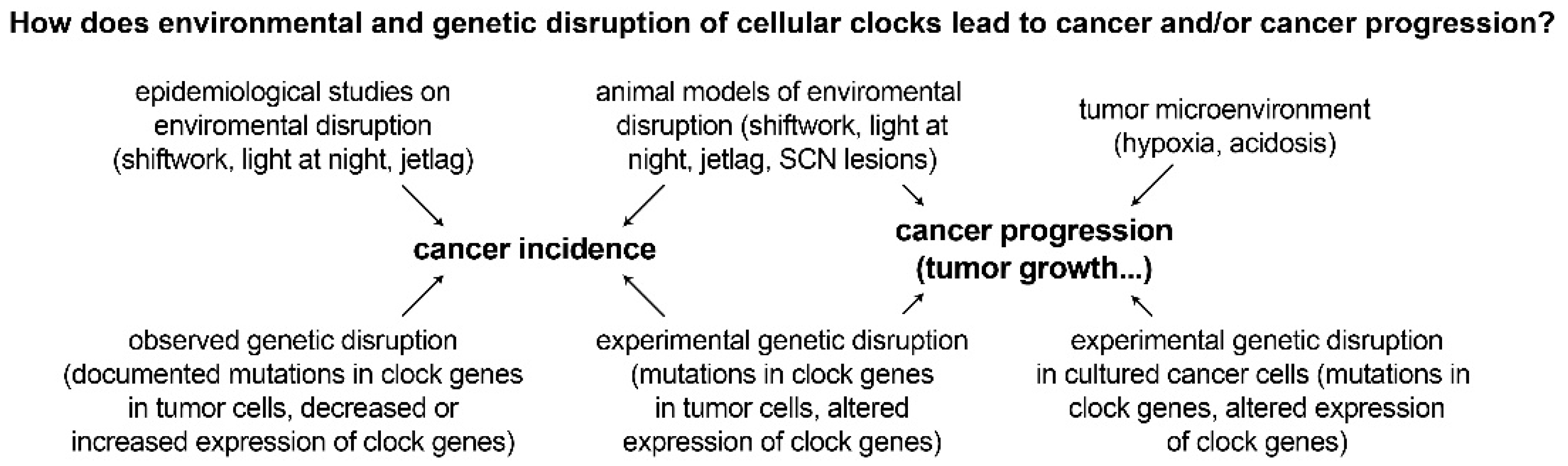 Clockssleep 01 00034 g003 Clockssleep 01 00034 g003