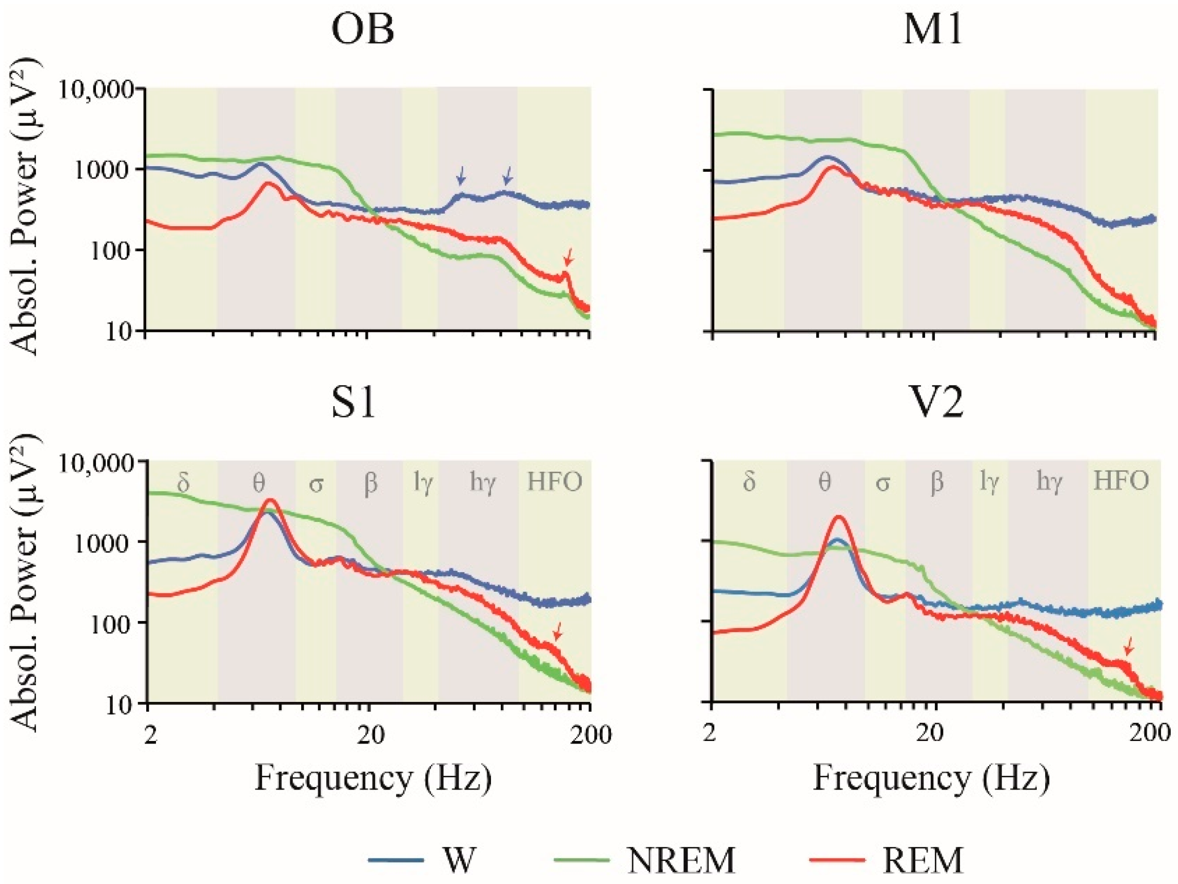 Clockssleep 02 00039 g002 Clockssleep 02 00039 g002