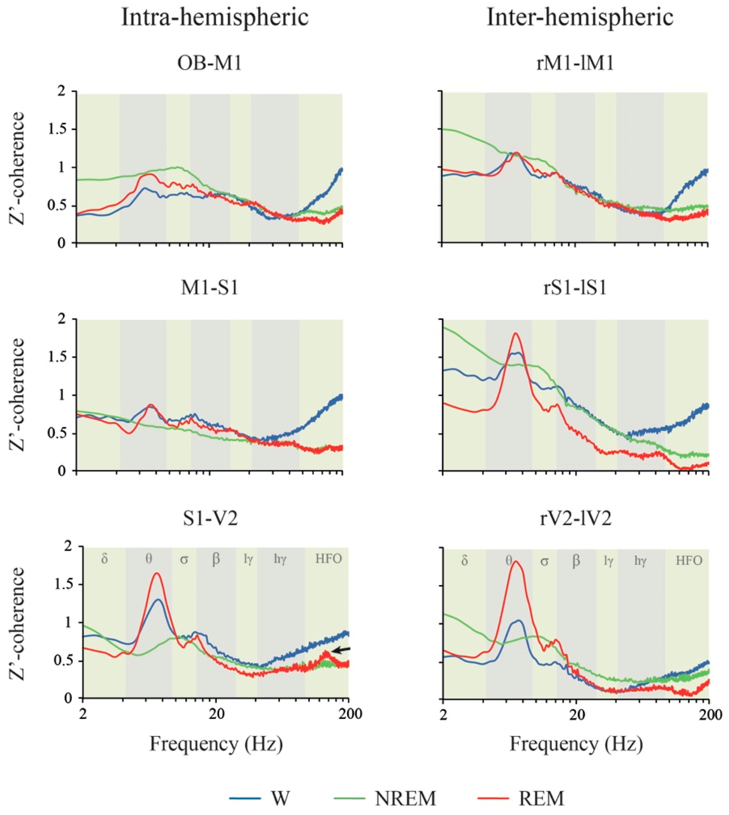 Clockssleep 02 00039 g006 Clockssleep 02 00039 g006
