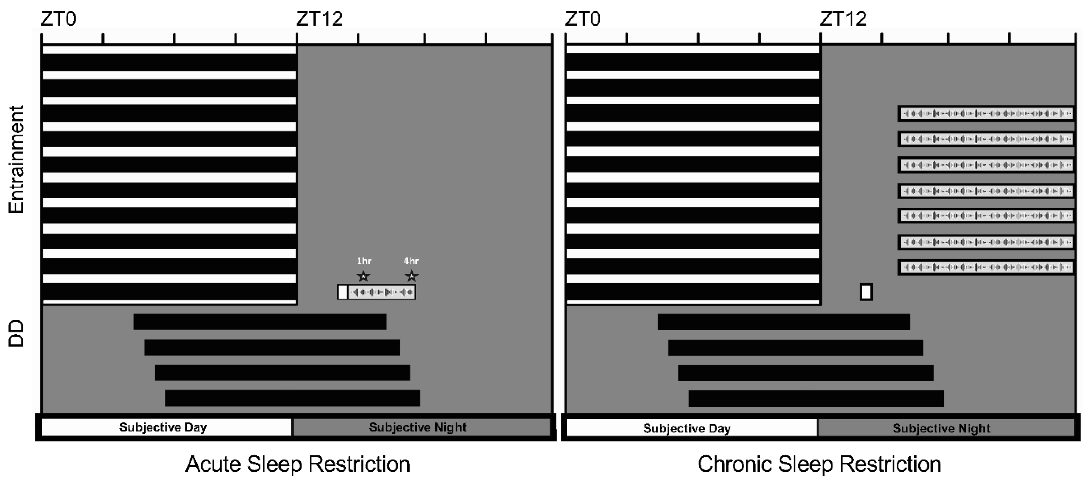 Clockssleep 04 00018 g001