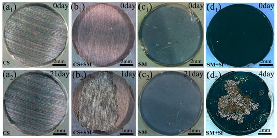 CMD | Free Full-Text | Modification, Degradation and Evaluation of 