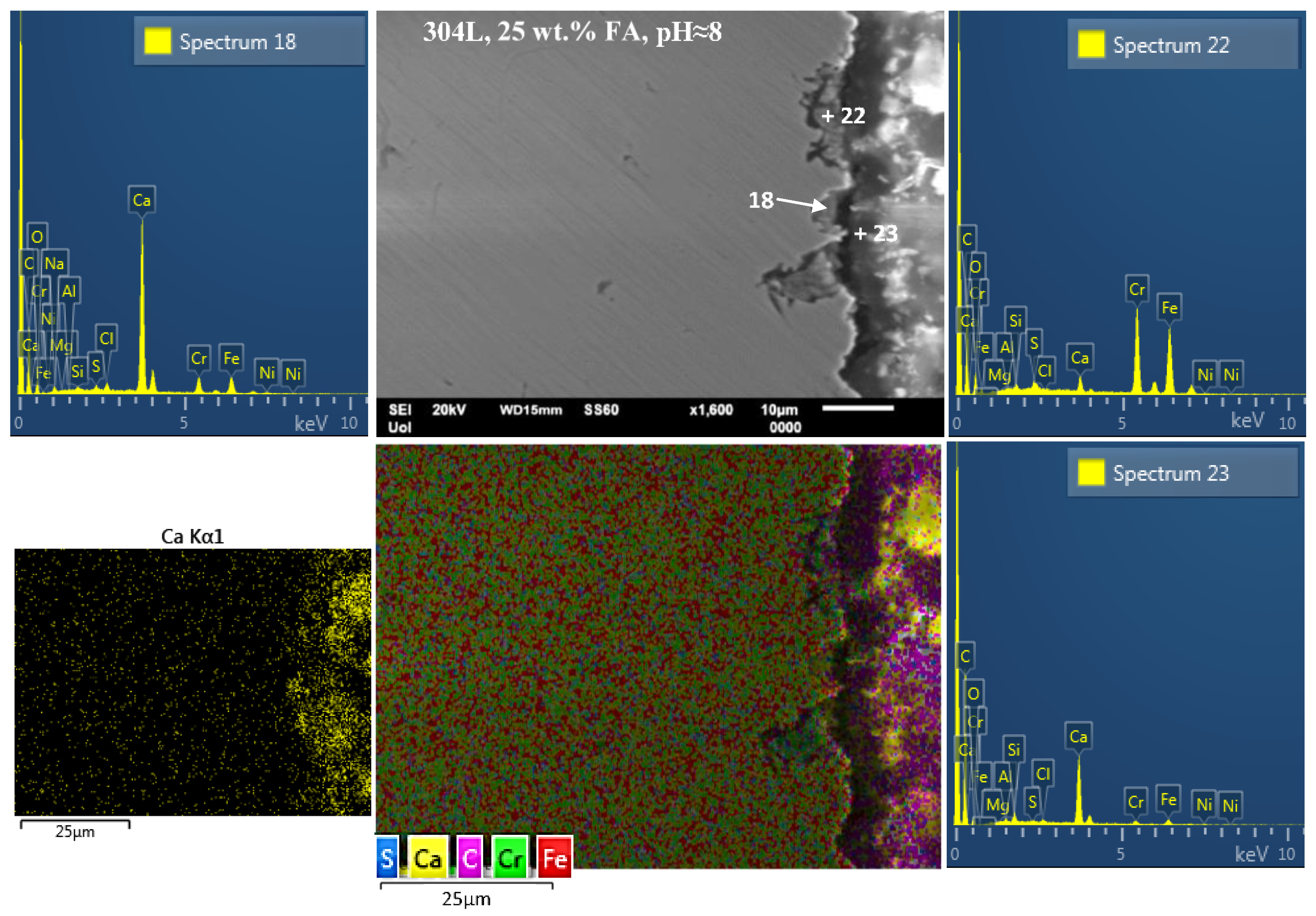 Cmd 03 00005 g009 Cmd 03 00005 g009