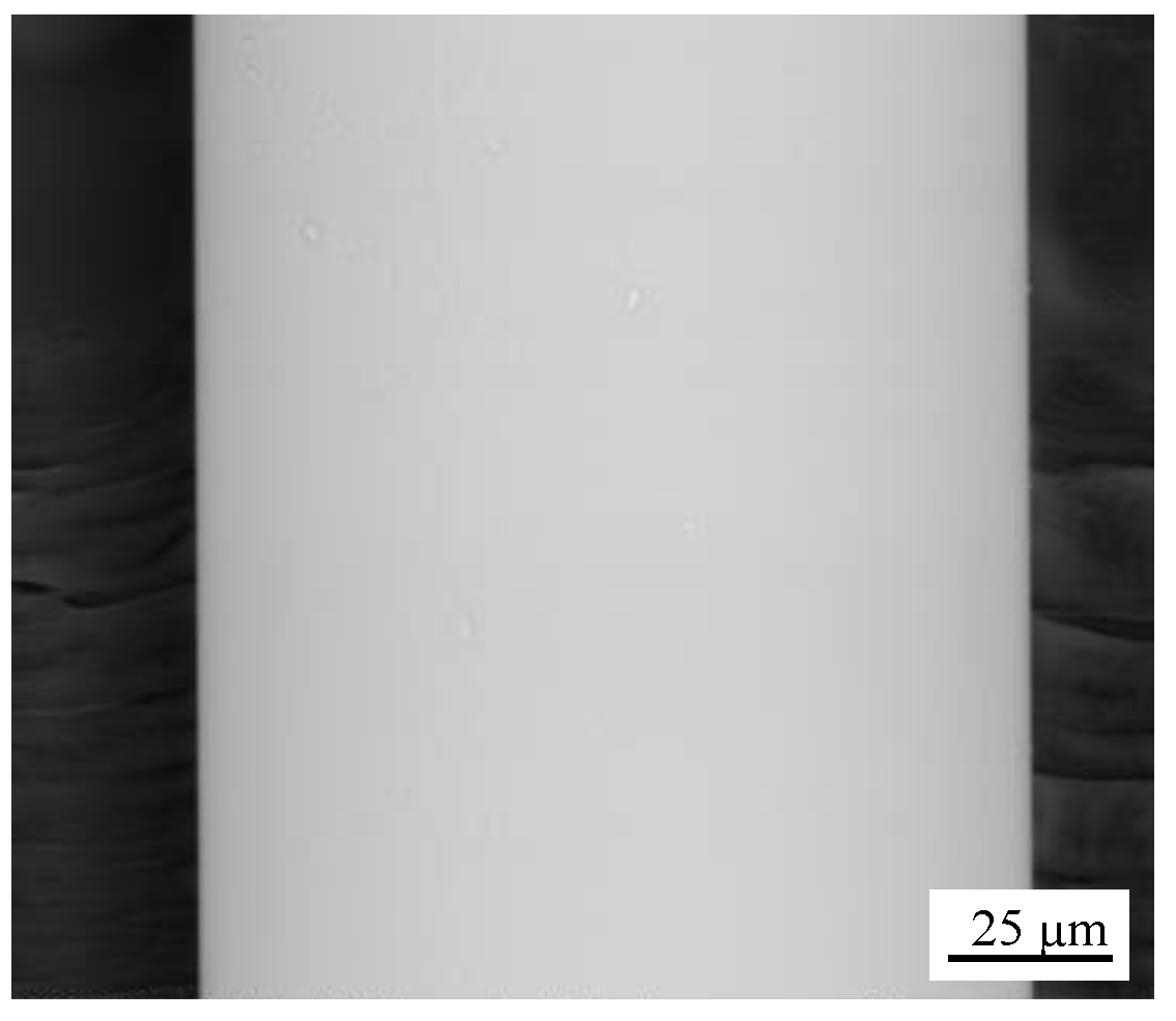 Cmd 04 00023 g001 Cmd 04 00023 g001