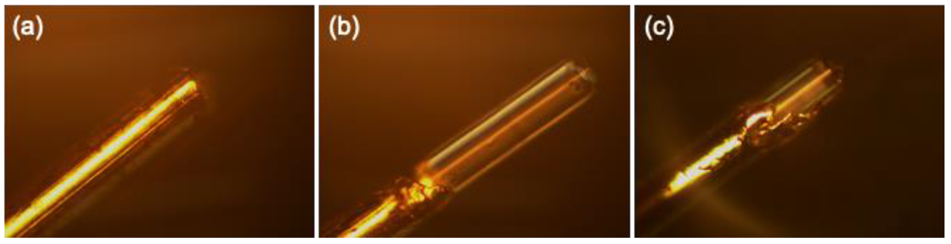 Cmd 04 00023 g003 Cmd 04 00023 g003