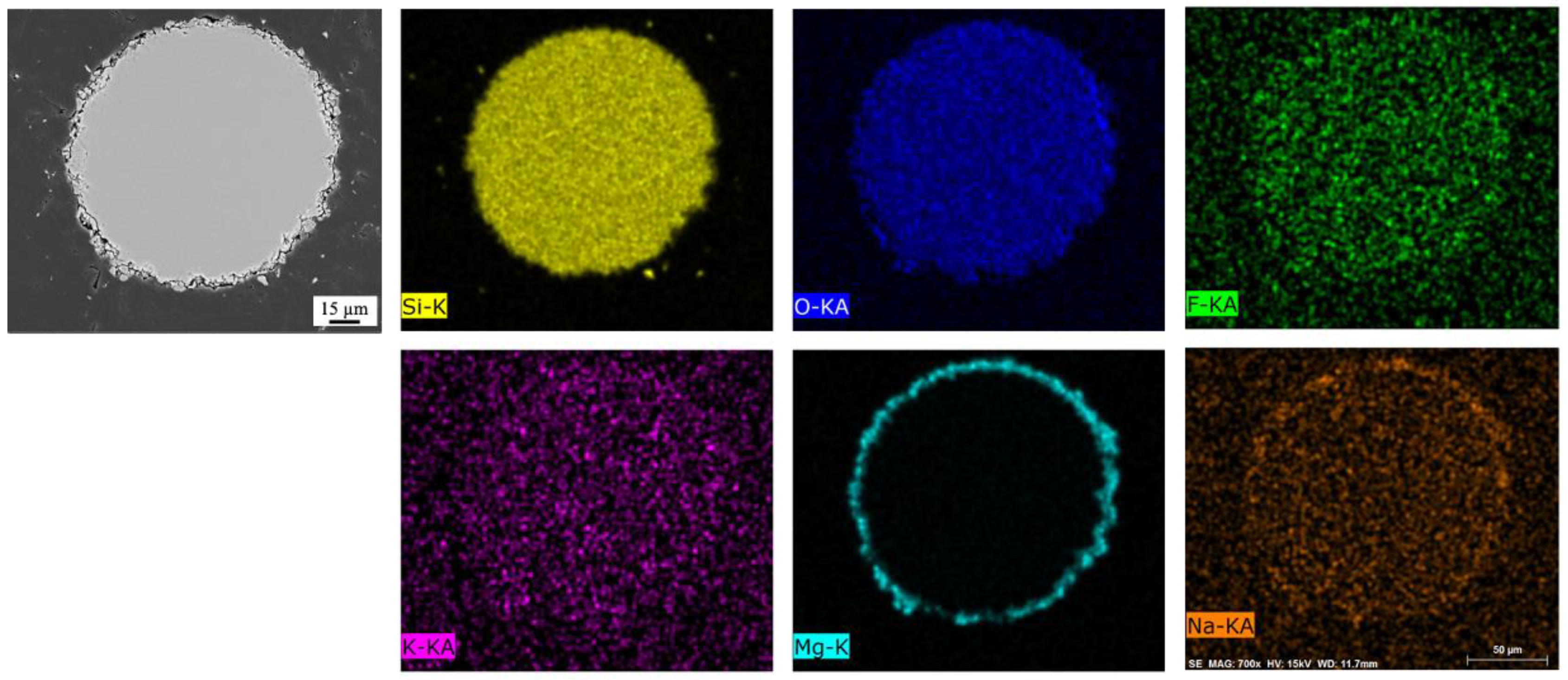 Cmd 04 00023 g009 Cmd 04 00023 g009