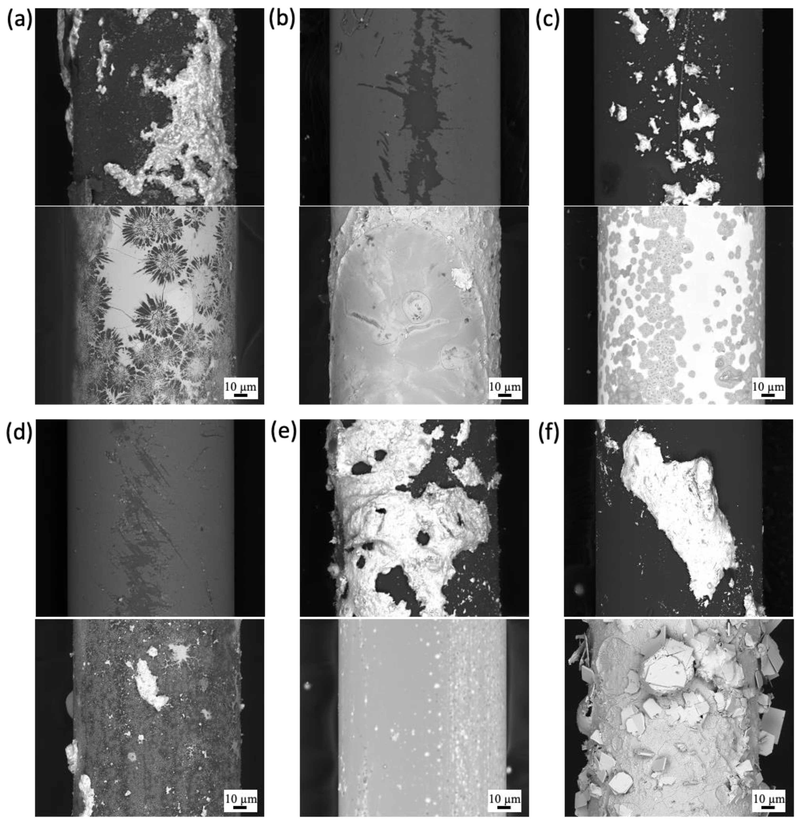 Cmd 04 00023 g010 Cmd 04 00023 g010