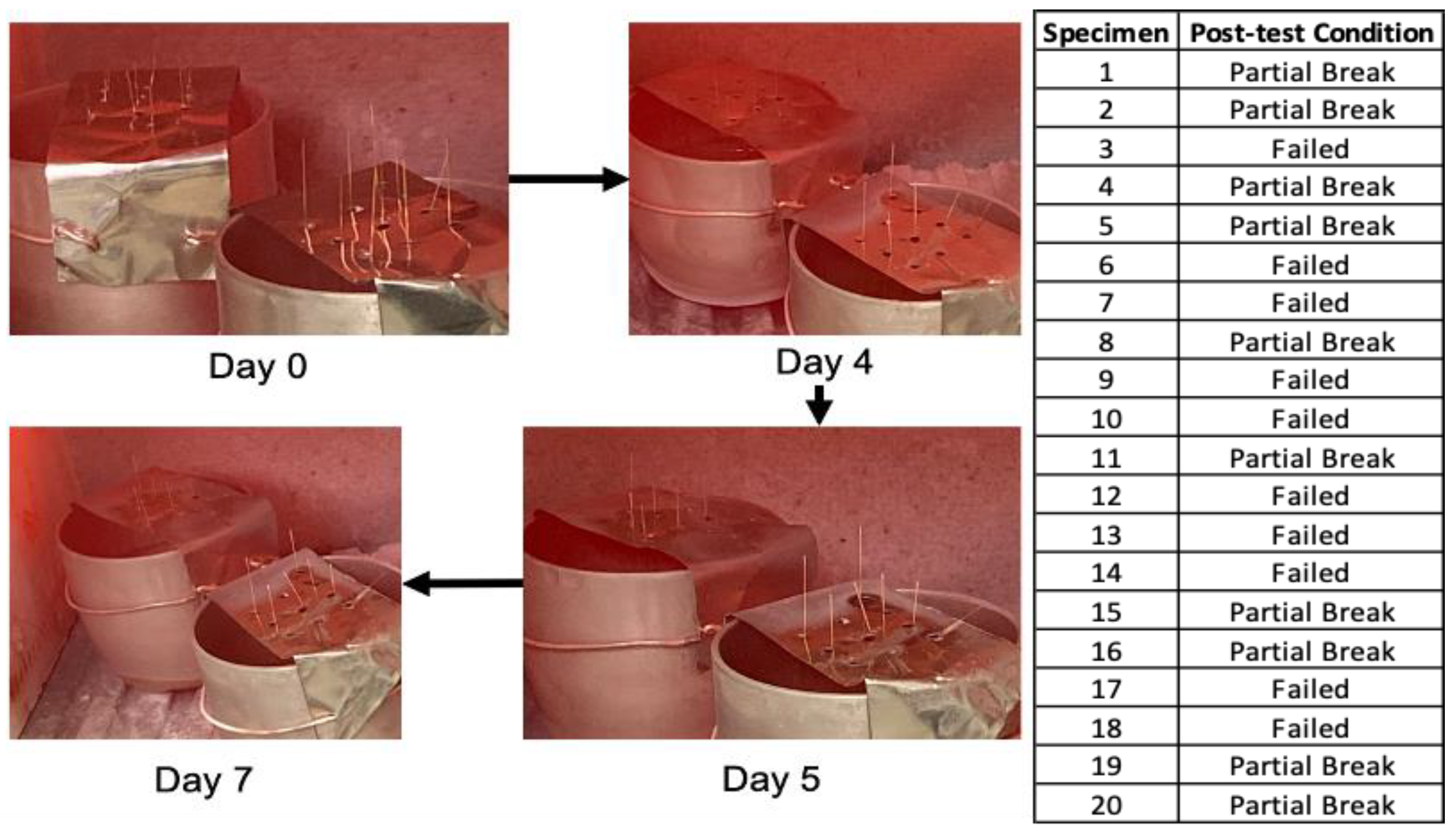 Cmd 04 00023 g013 Cmd 04 00023 g013