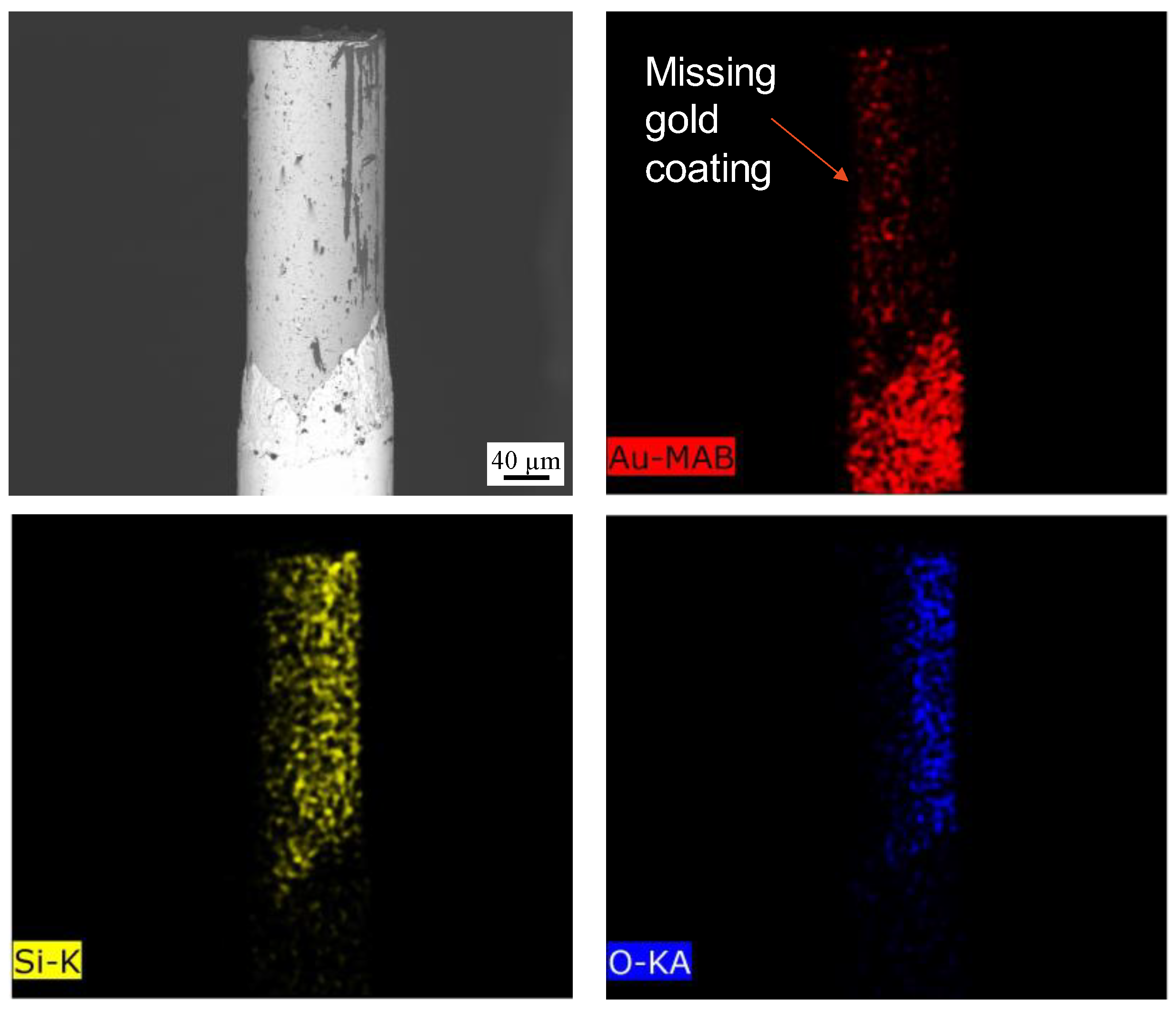 Cmd 04 00023 g014 Cmd 04 00023 g014