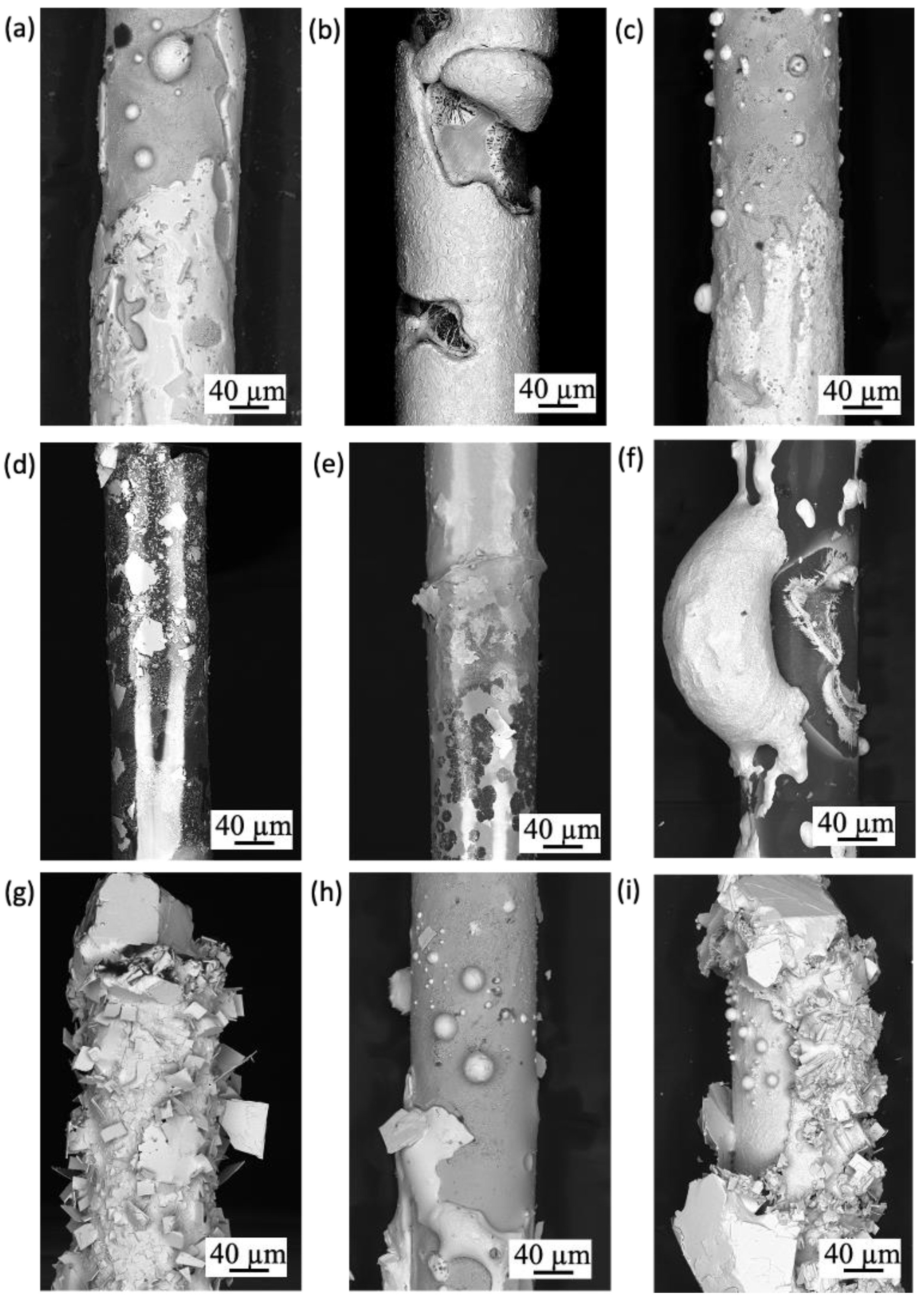 Cmd 04 00023 g015 Cmd 04 00023 g015